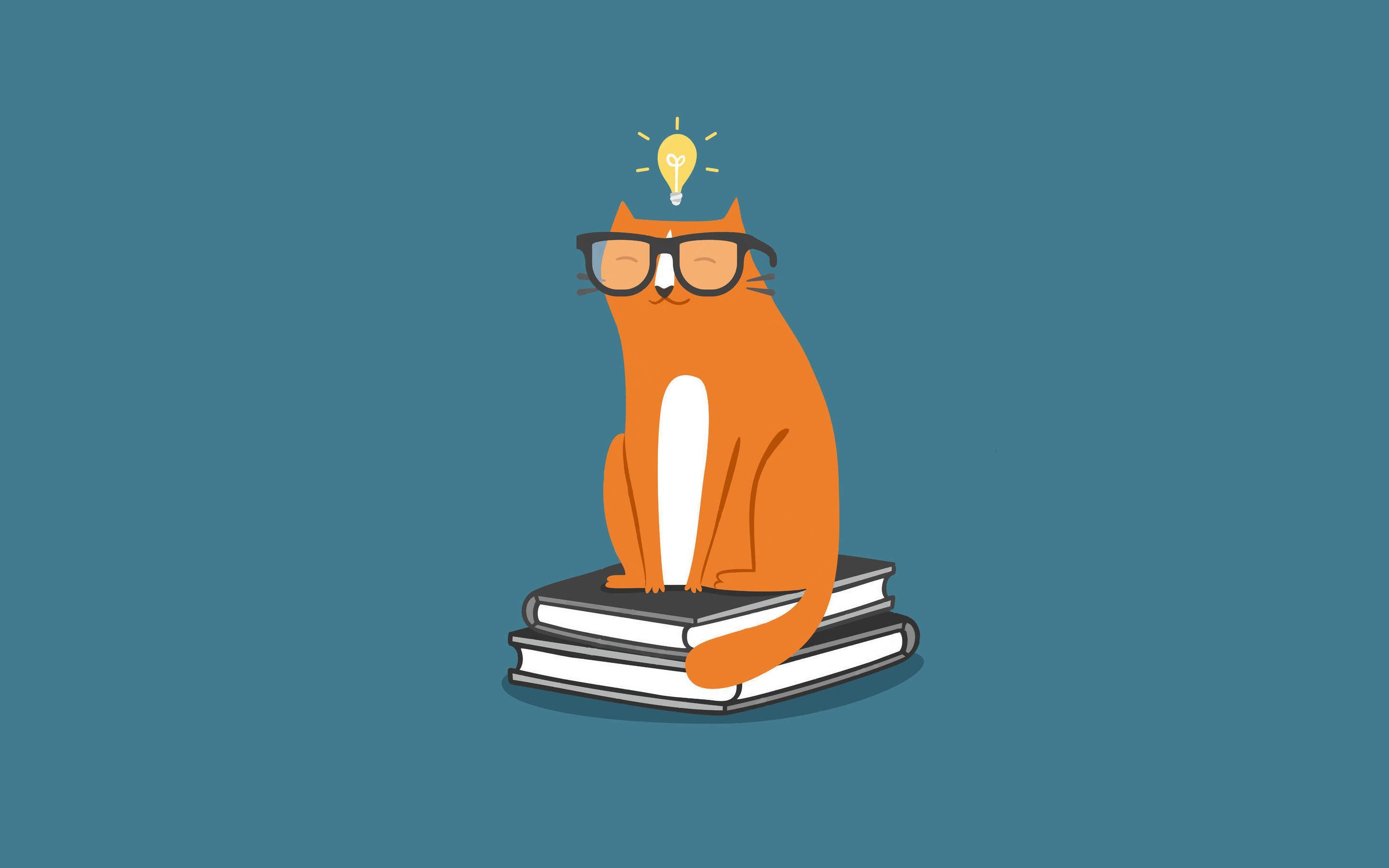 2880x1800 Wallpaper cat, cat, light bulb, books