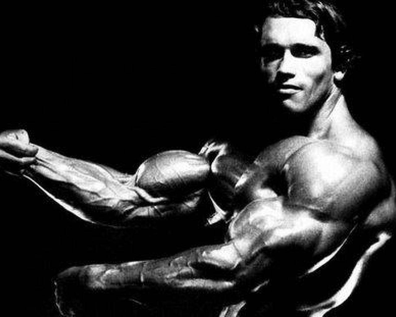 1280x1024 Arnold Background