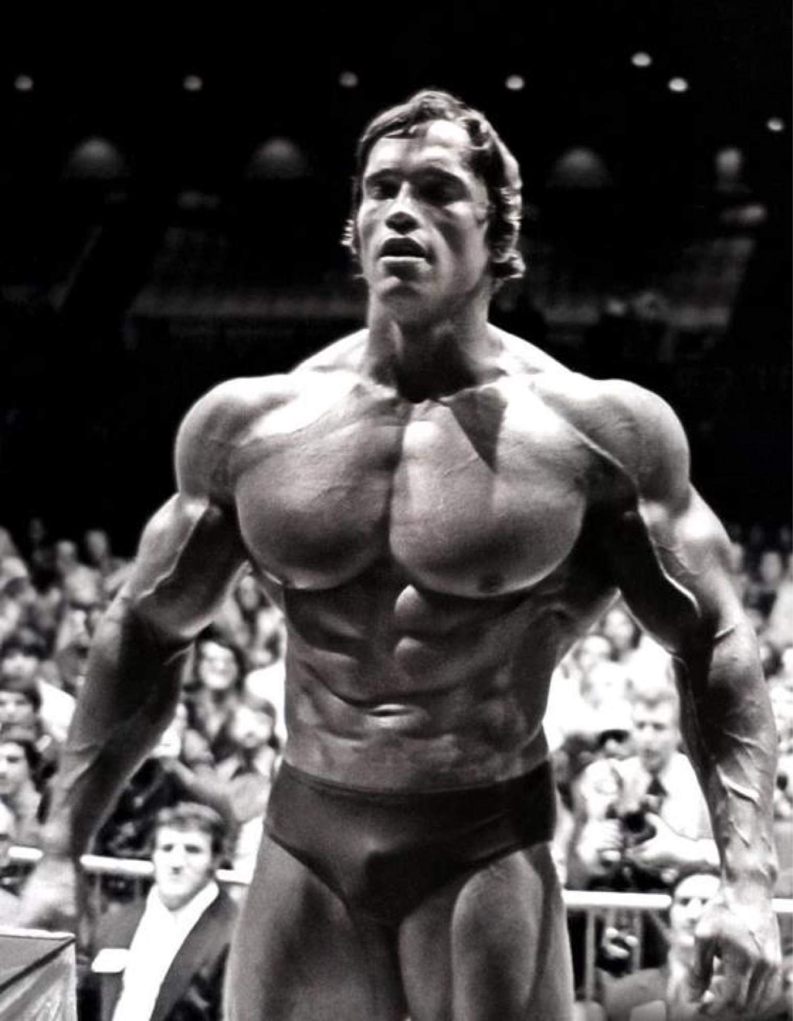 1553x2000 Arnold Schwarzenegger Gym Conquer Photo