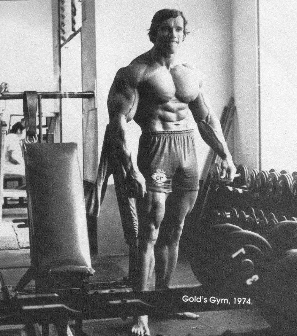 1000x1133 Arnold Schwarzenegger Bodybuilder