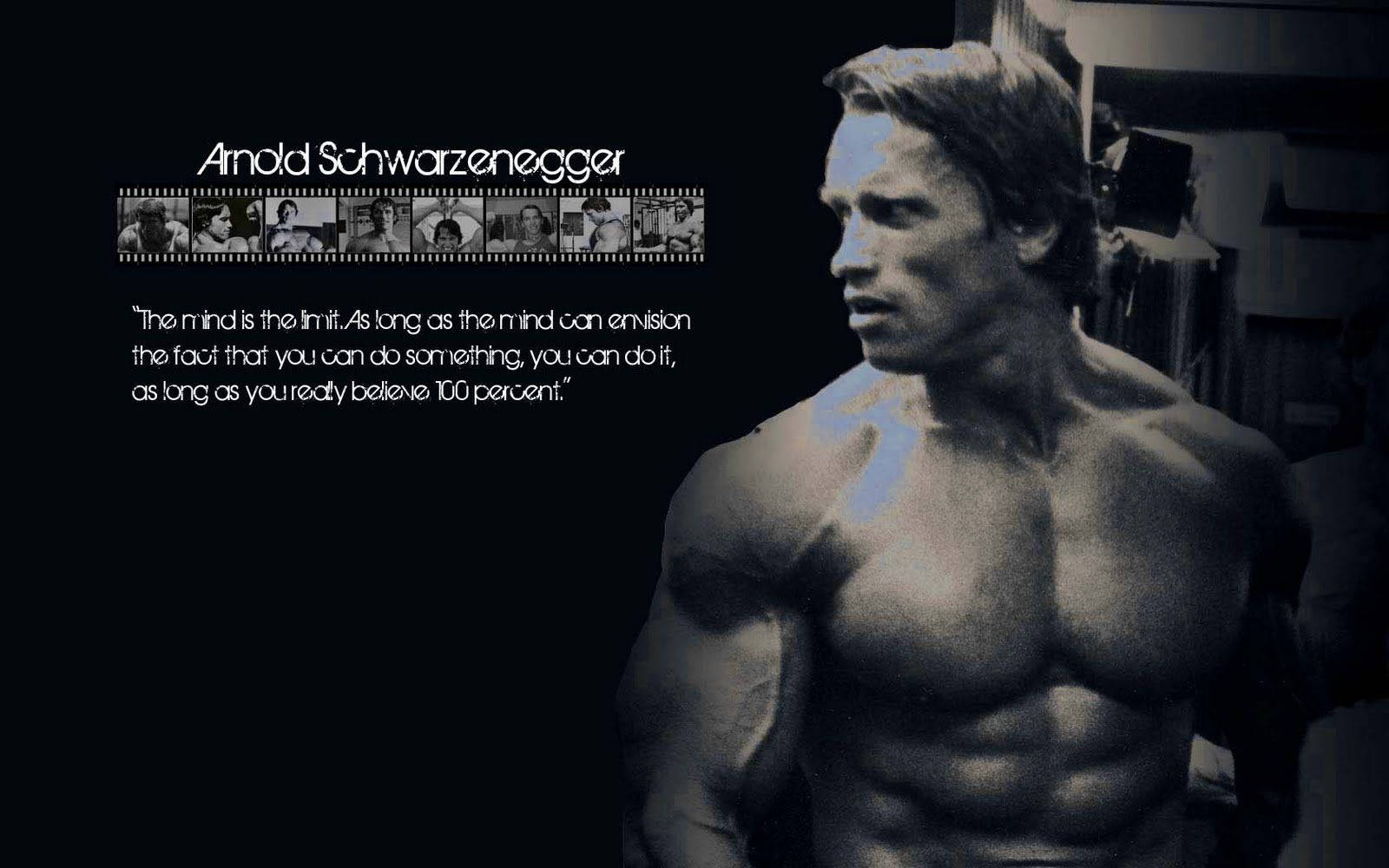 1600x1000 Arnold Schwarzenegger HD Wallpaper