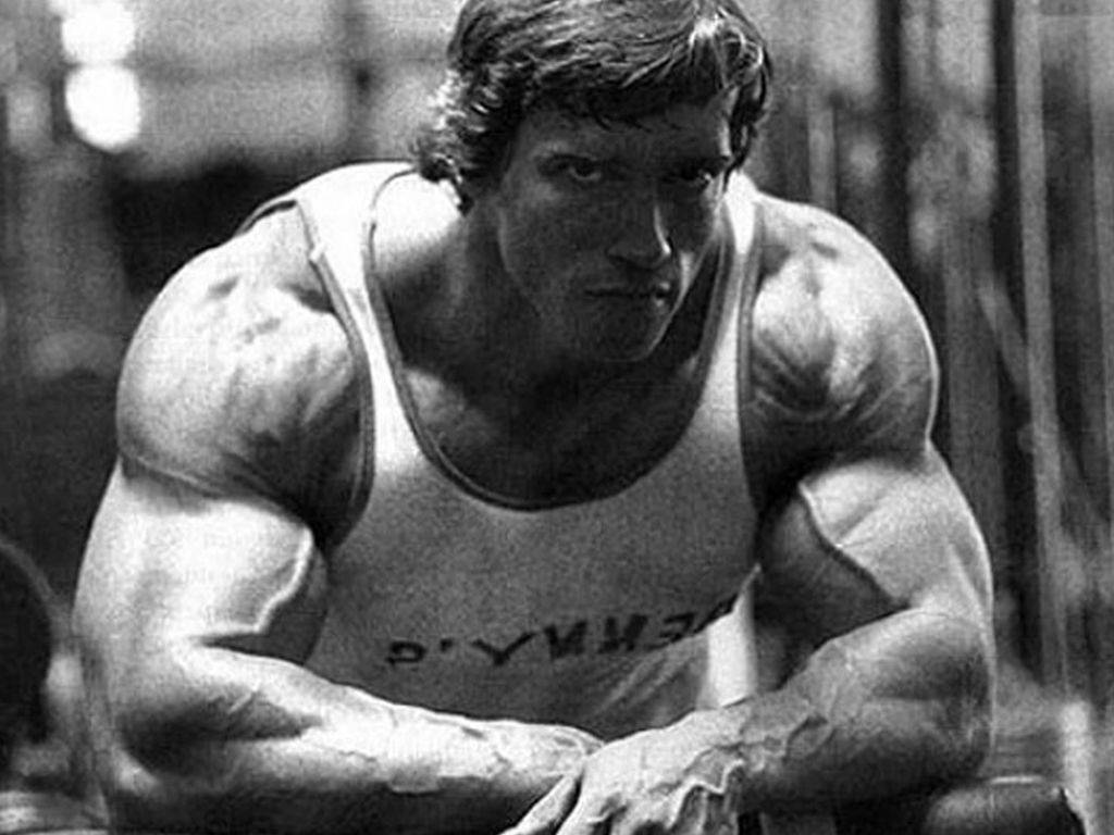 1024x768 Download Arnold Schwarzenegger Wallpaper