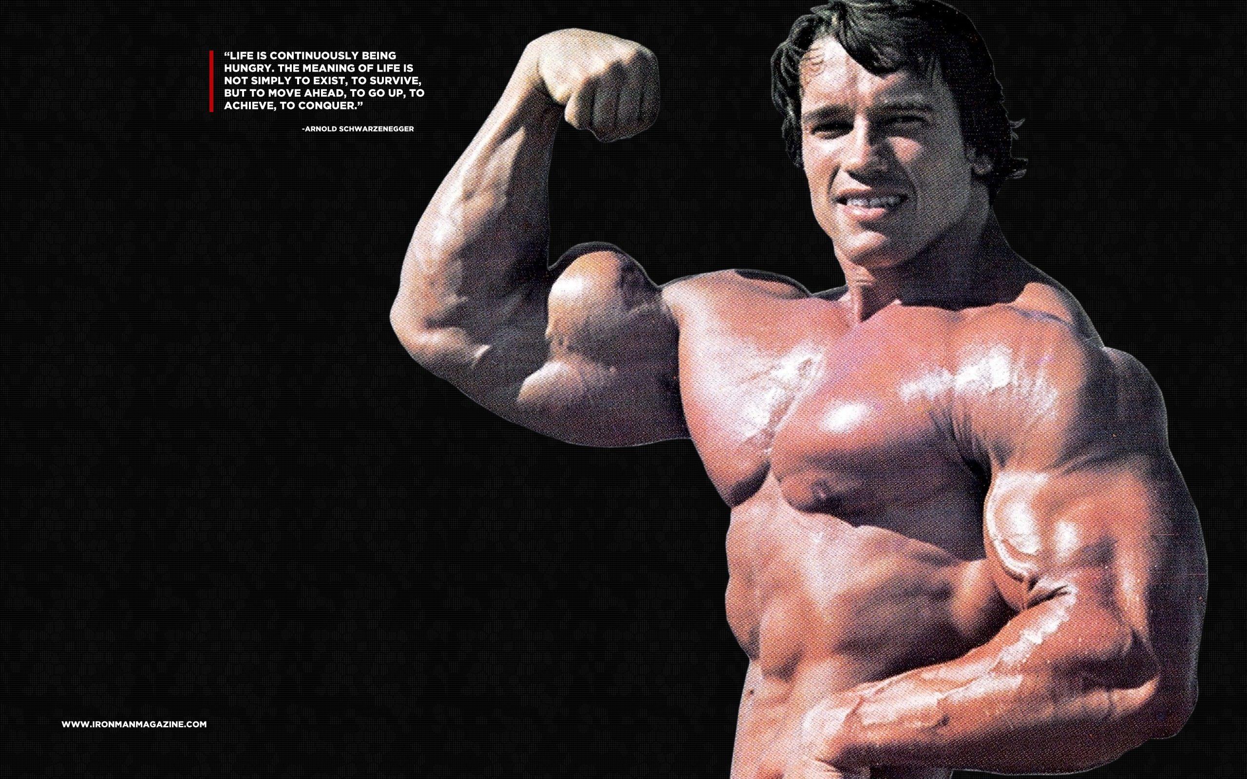 2560x1600 Arnold HD Wallpaper
