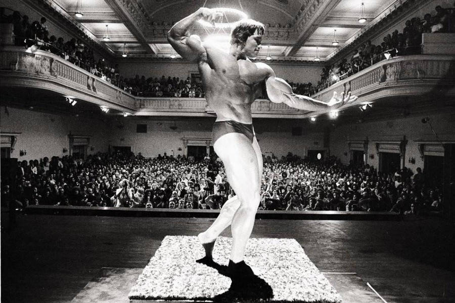 900x601 Schwarzenegger Wallpaper