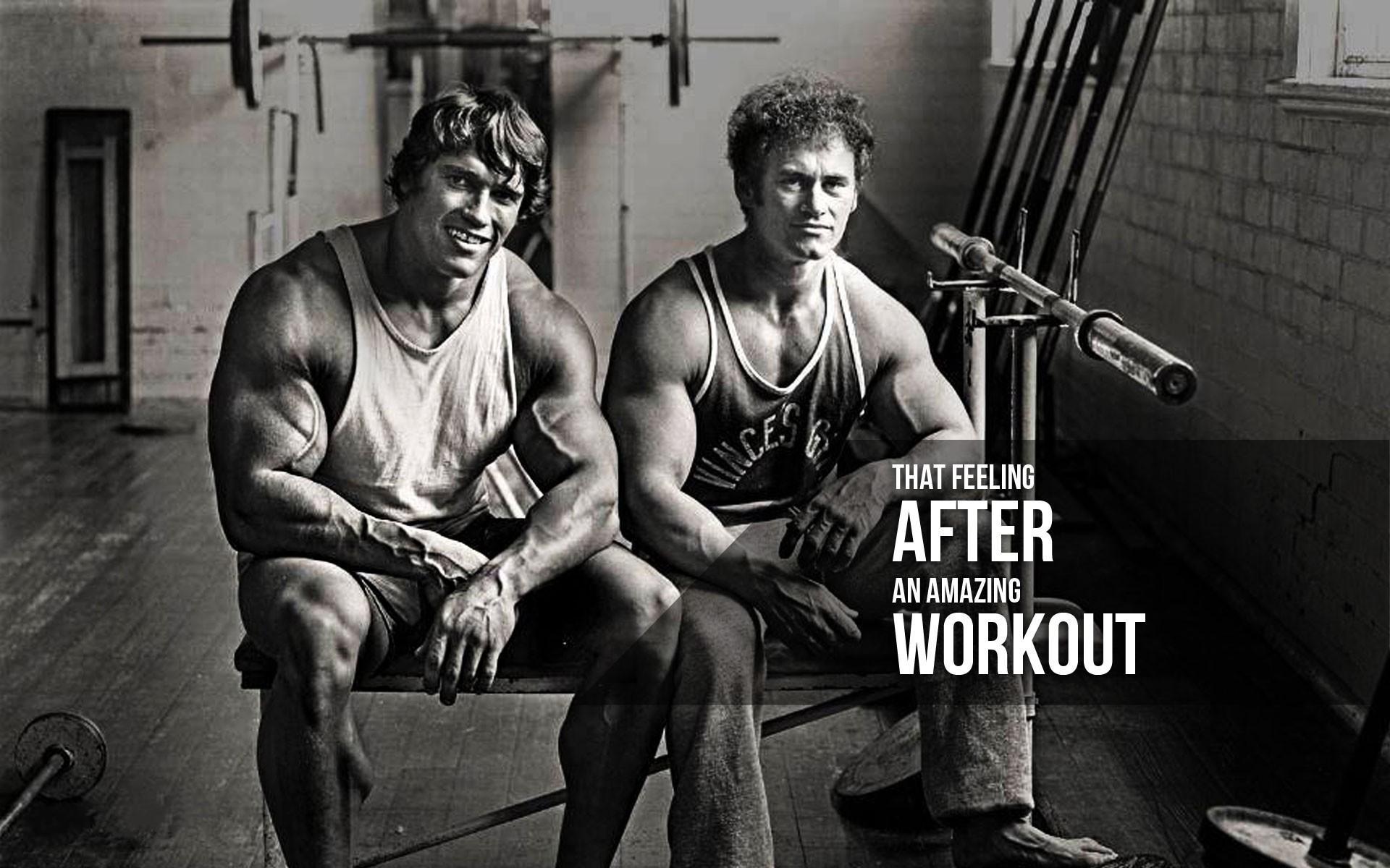 1920x1200 Arnold Schwarzenegger Desktop Wallpaper