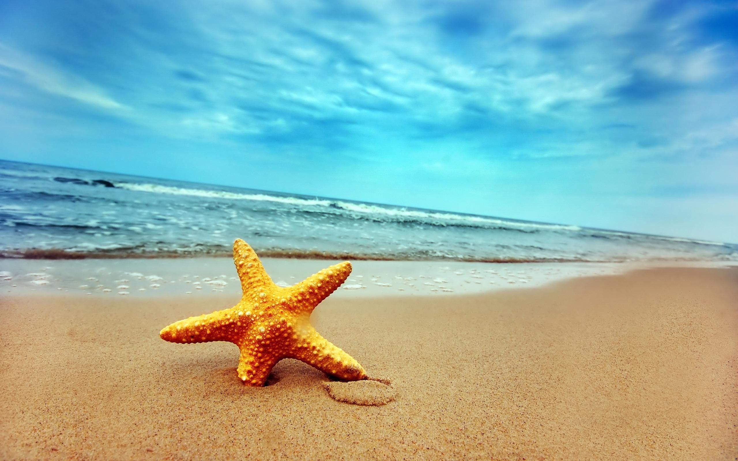 Apple Beach Wallpapers - Top Free Apple Beach Backgrounds - WallpaperAccess