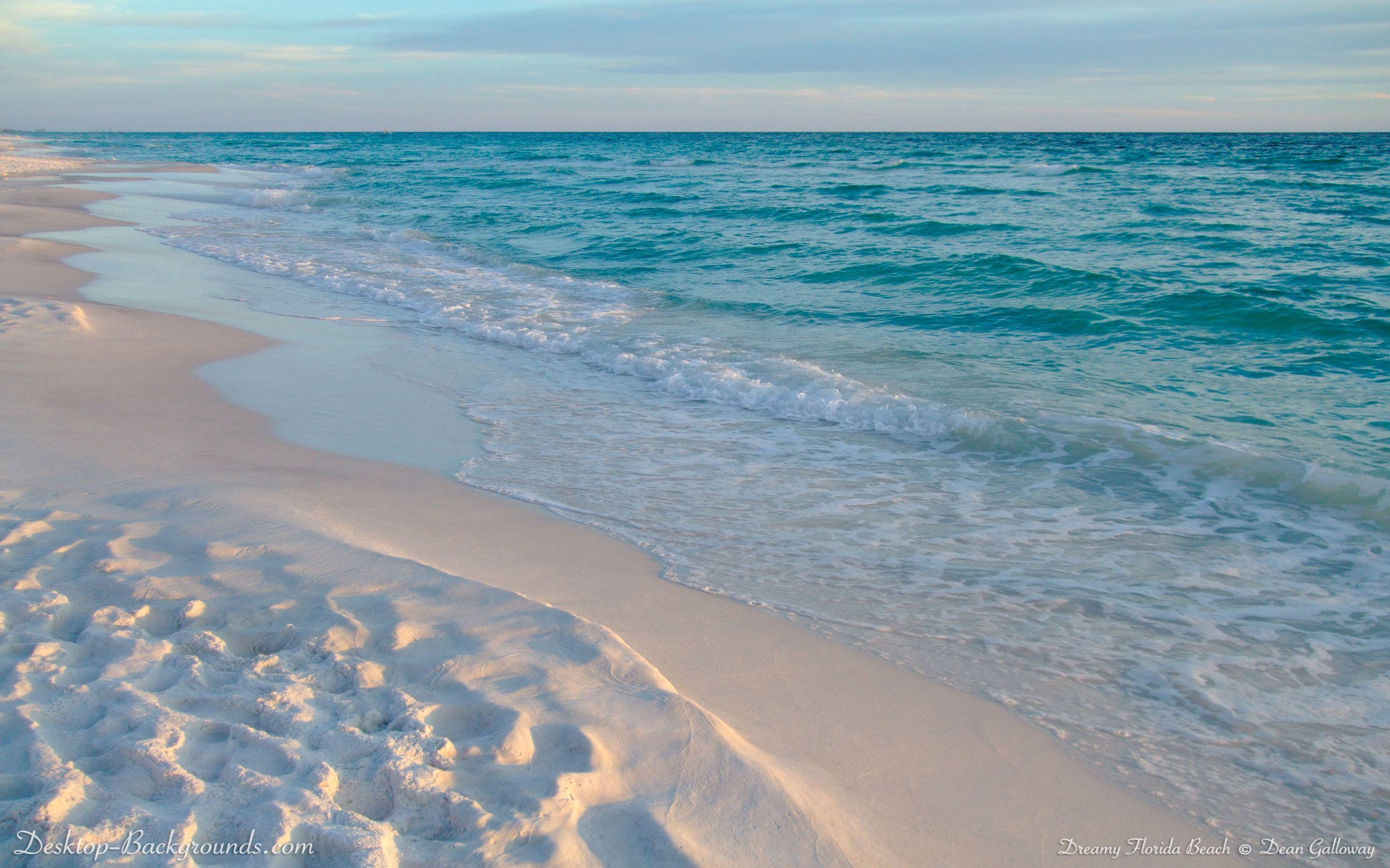 Desktop Wallpaper Palm Coast Beach Florida Beach Nature Hd Image  Picture Background 1cf8vm