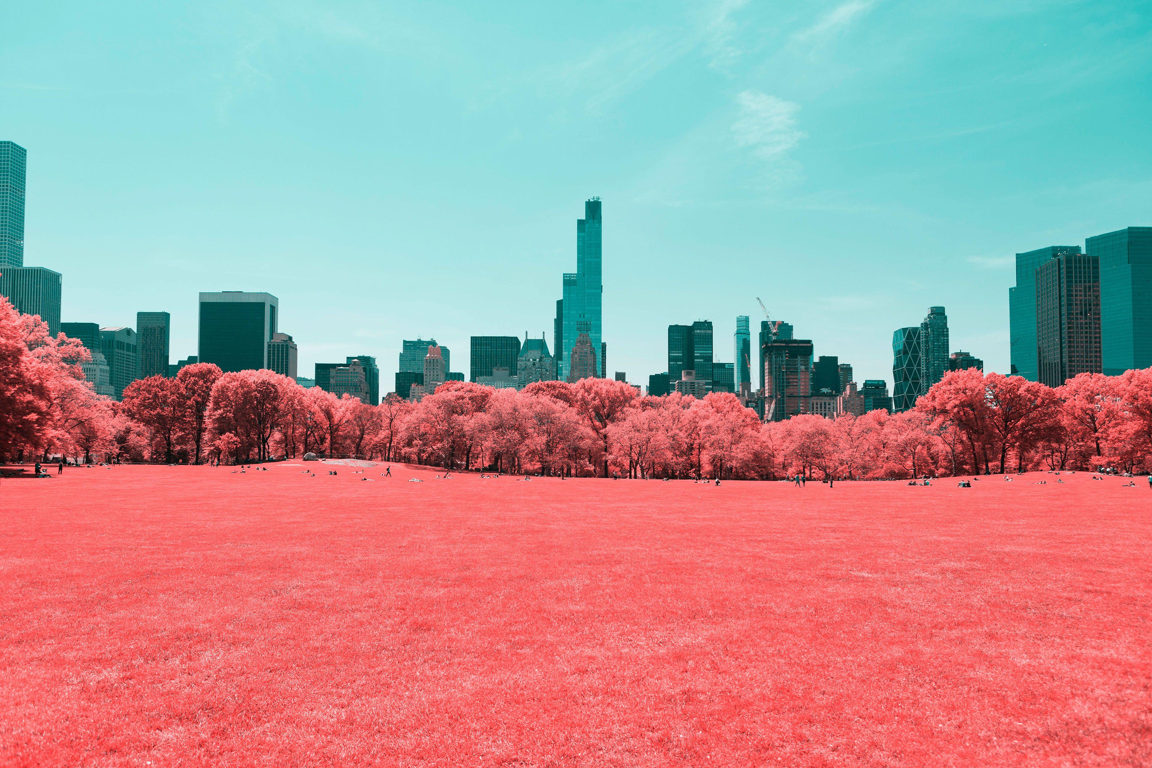 3840x2560 Wallpaper Central Park, Infrared, Manhattan, New York City