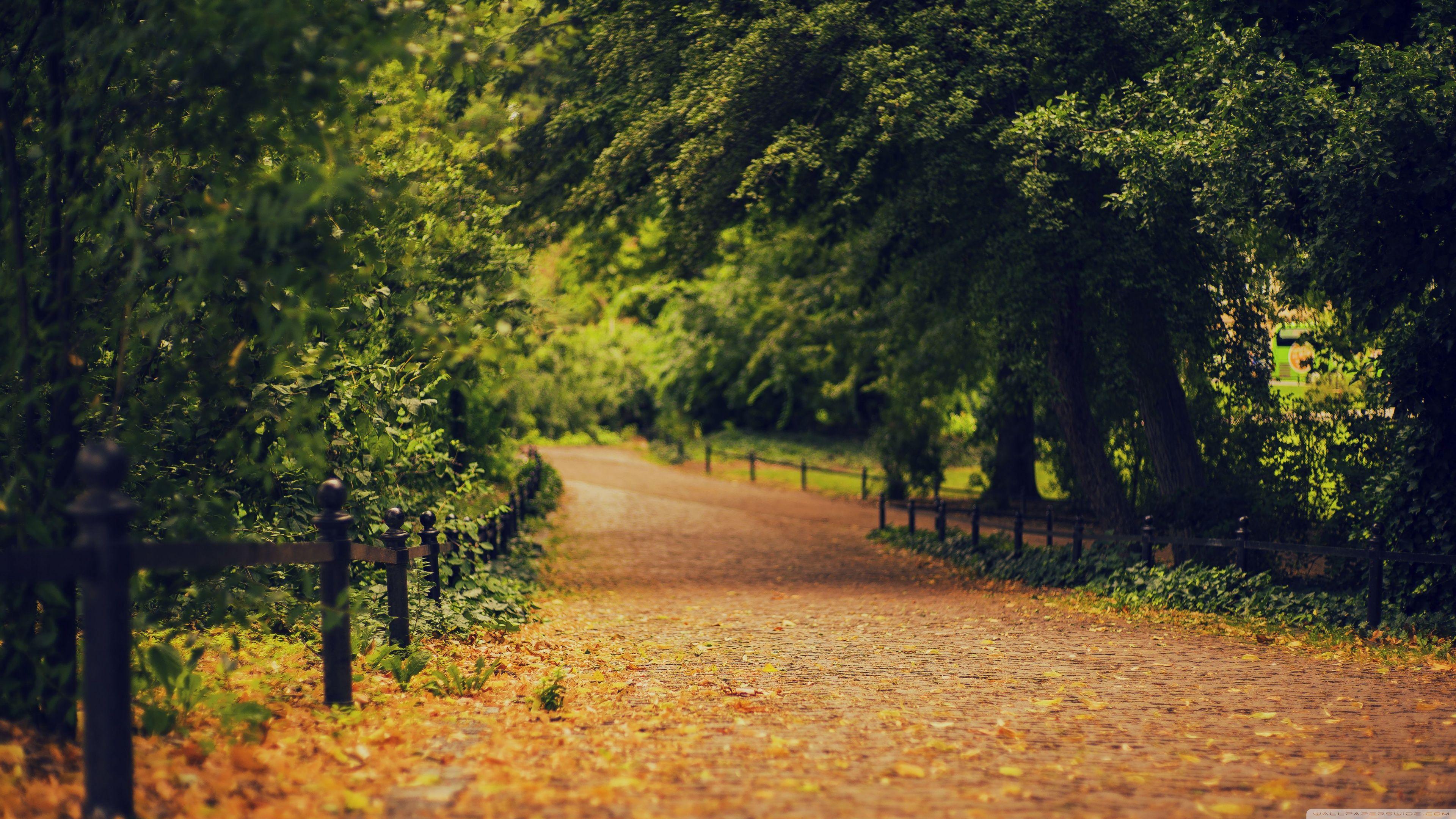 Gardens 4K Wallpapers - Top Free Gardens 4K Backgrounds - WallpaperAccess