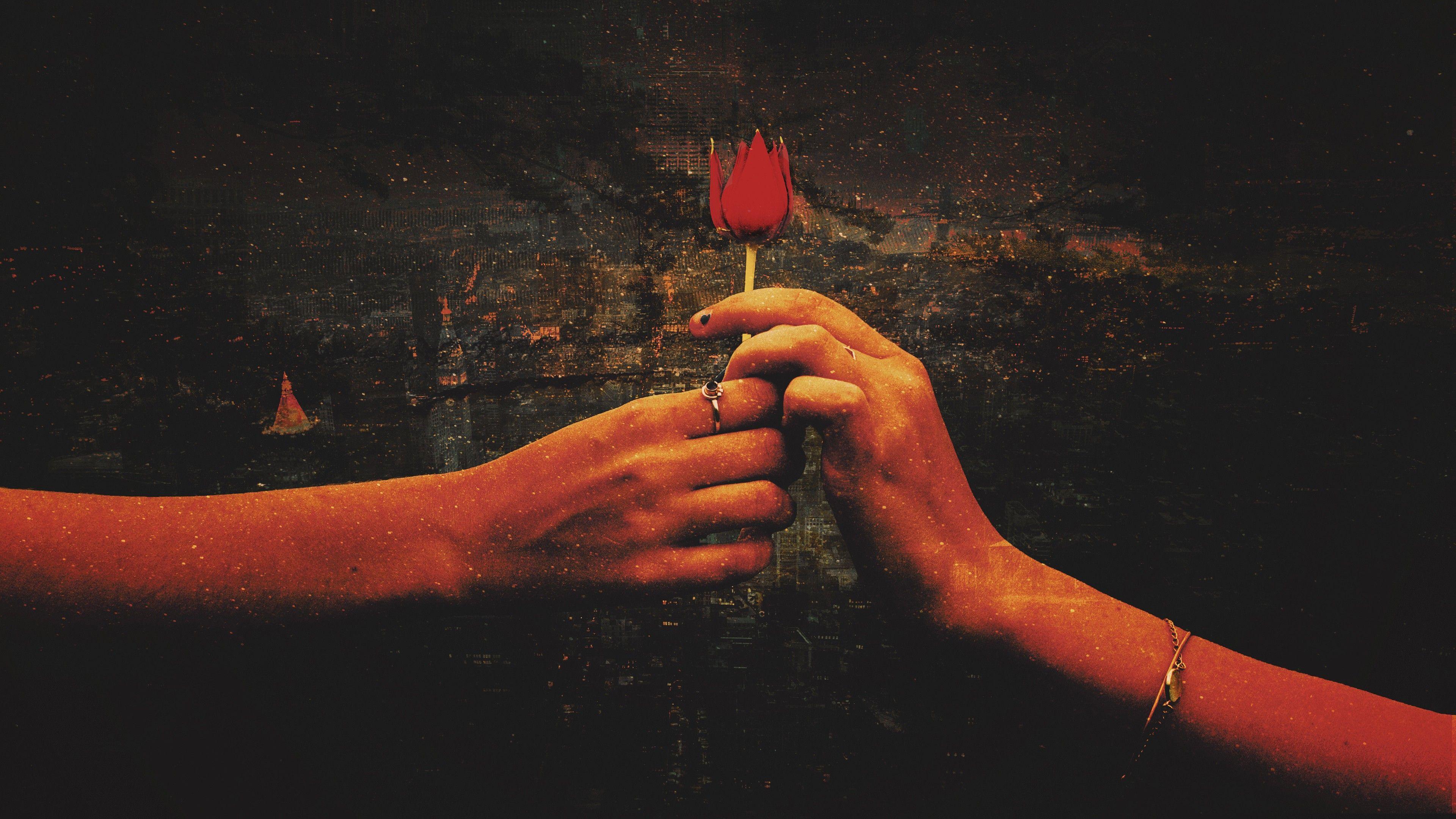 3840x2160 Red Rose Love Proposal 4K Wallpaper