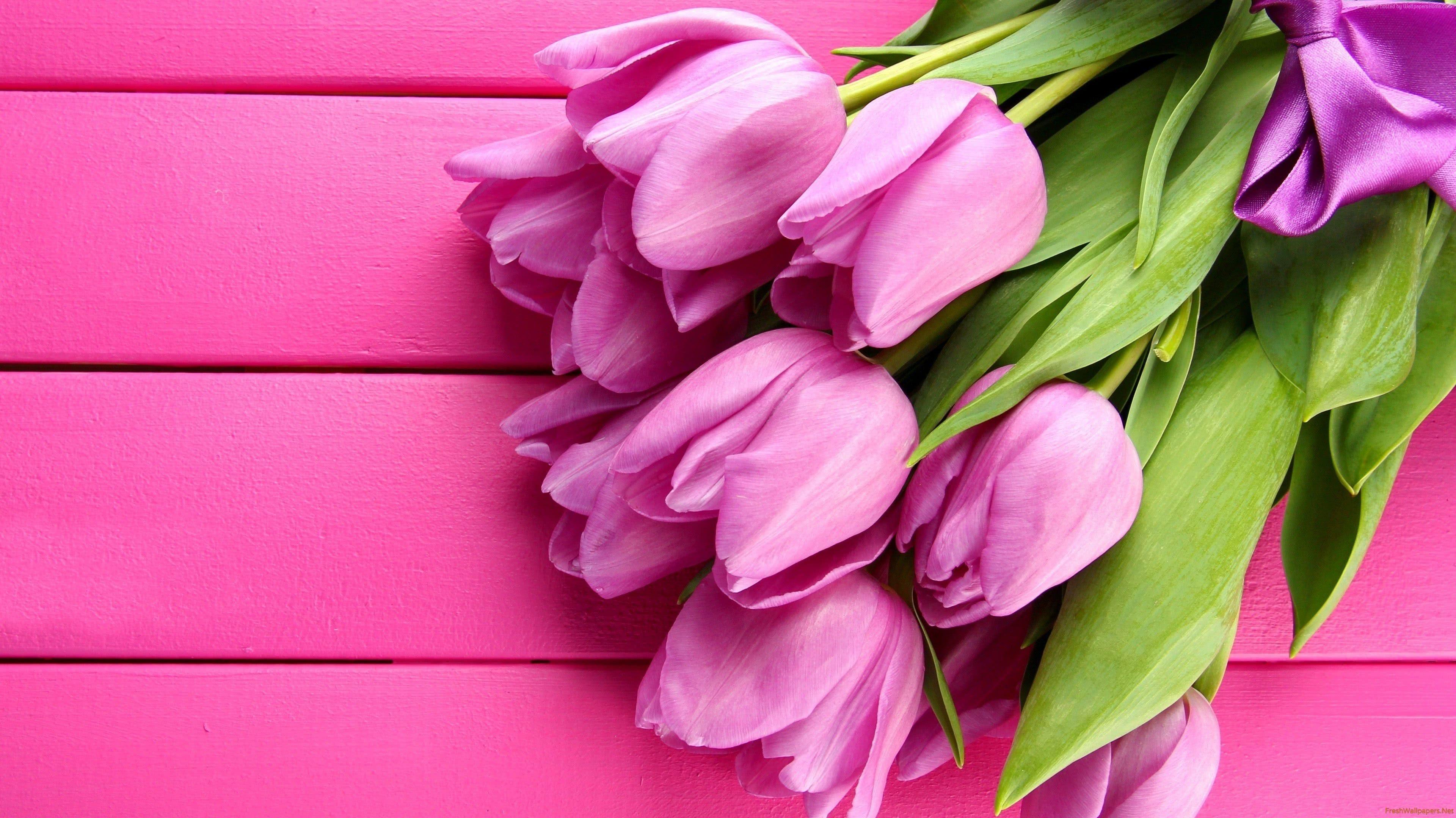 3840x2160 Tulips Pink UHD 4K WallpaperTulips Pink UHD 4K Wallpaper