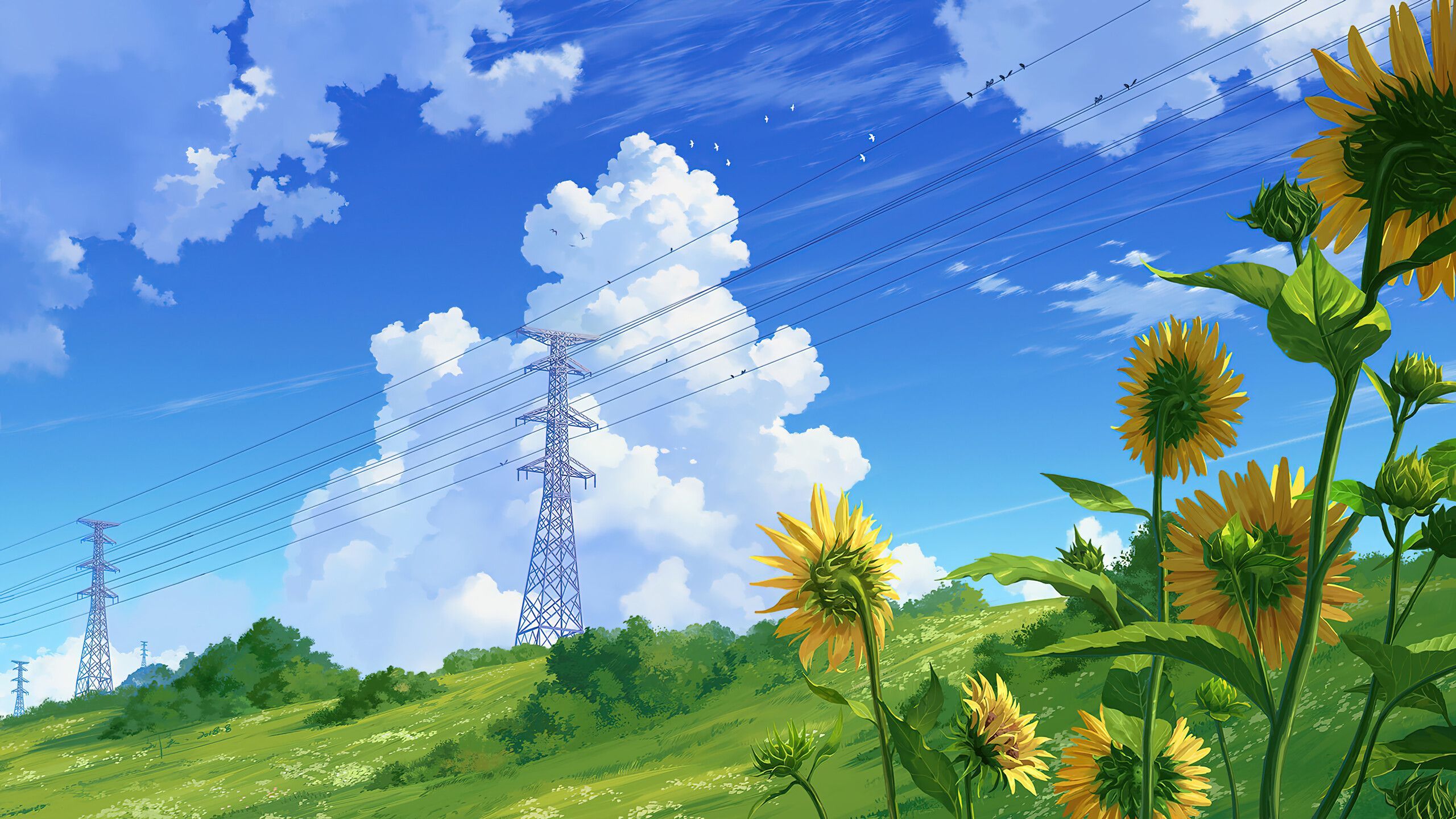 2560x1440 