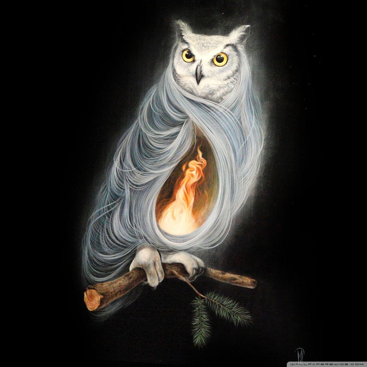 1280x1280 The Owls Are Not What They Seem by Dan May ❤ 4K HD Desktop