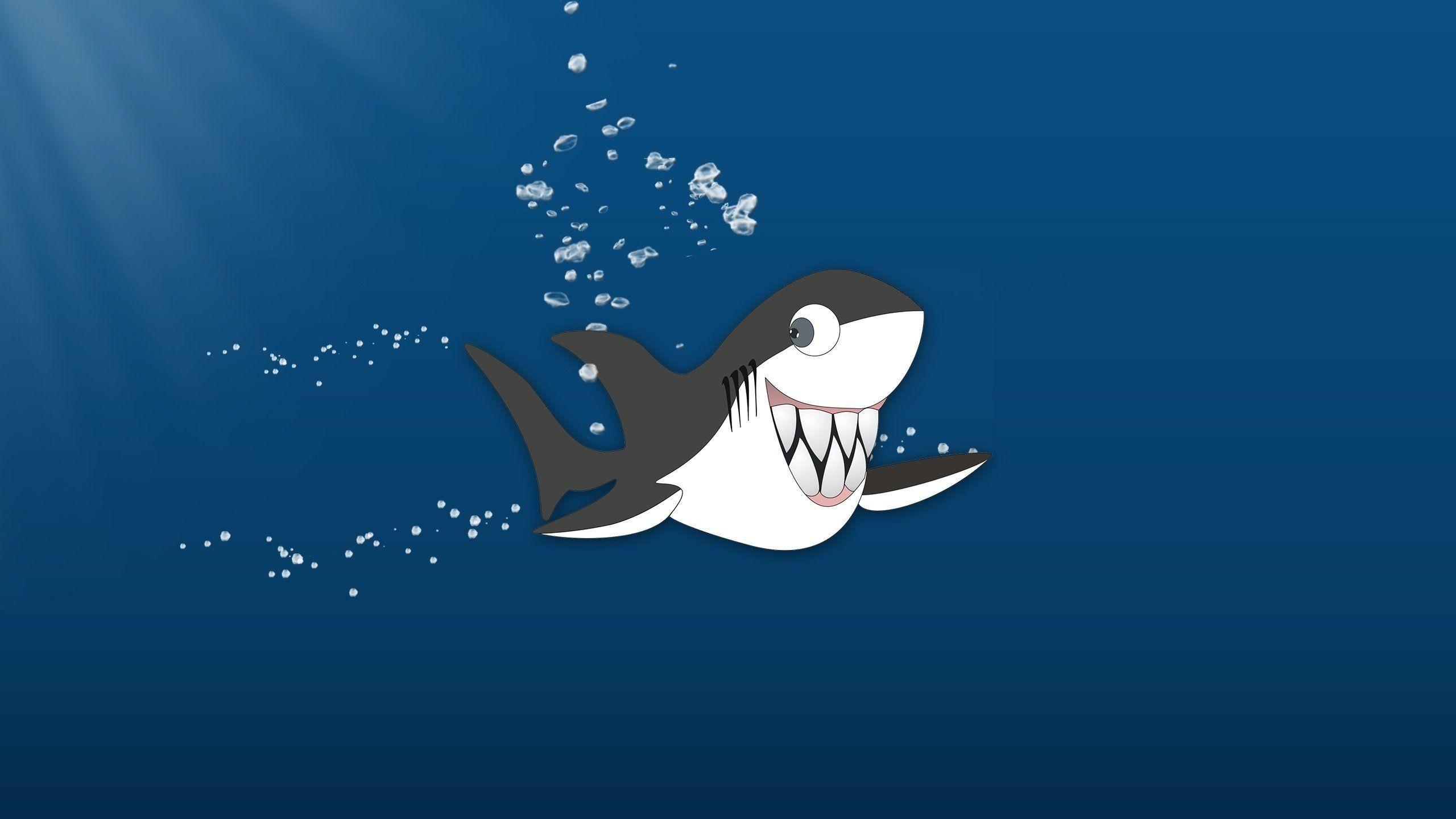 2560x1440 Cute Shark High Definition Wallpaper 20020