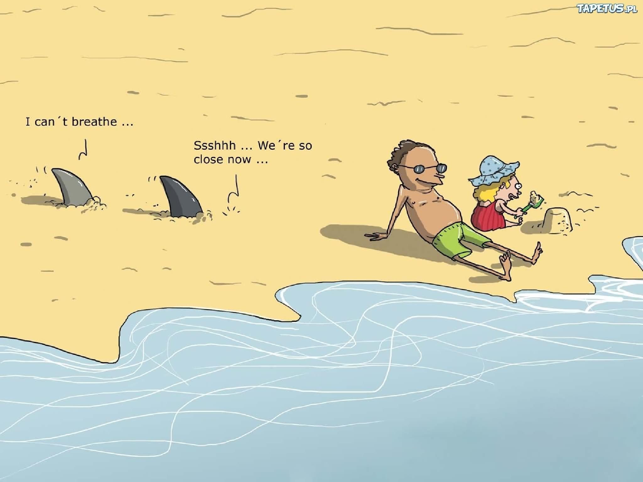 2048x1536 Very Funny Beaches Picture And Image