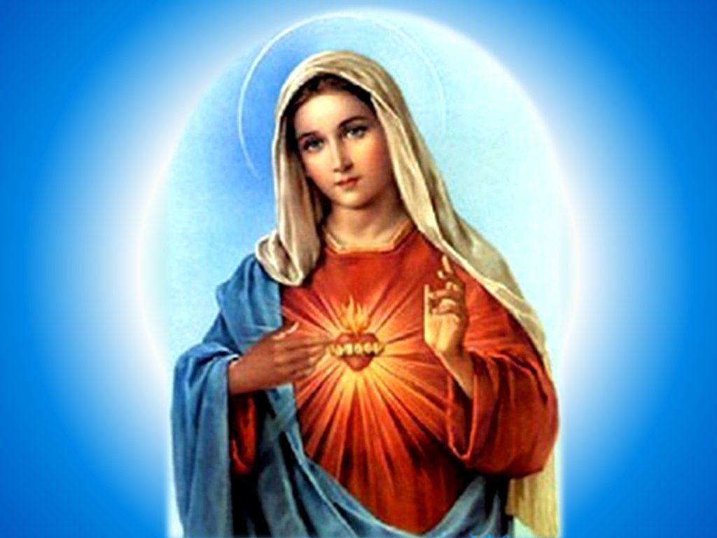 36 Virgin Mary Desktop Wallpaper  WallpaperSafari