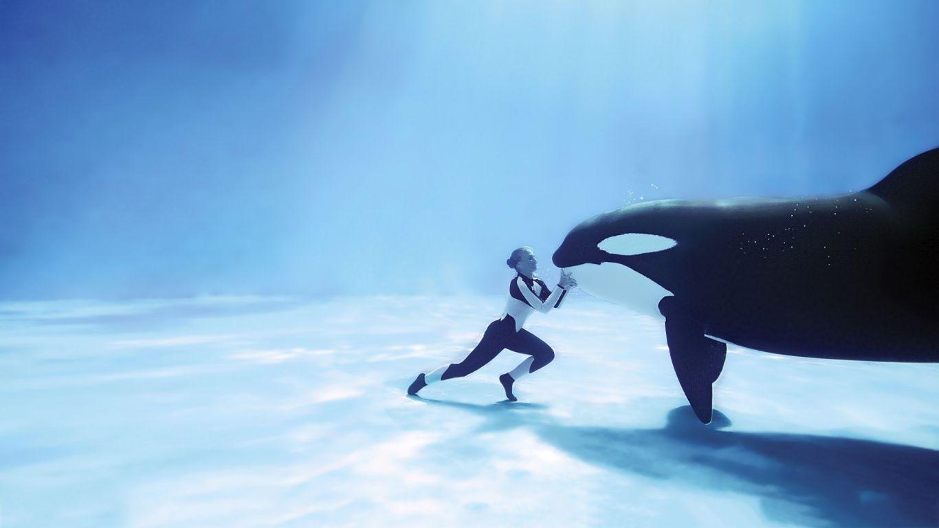 1366x768 Orca Wallpaper