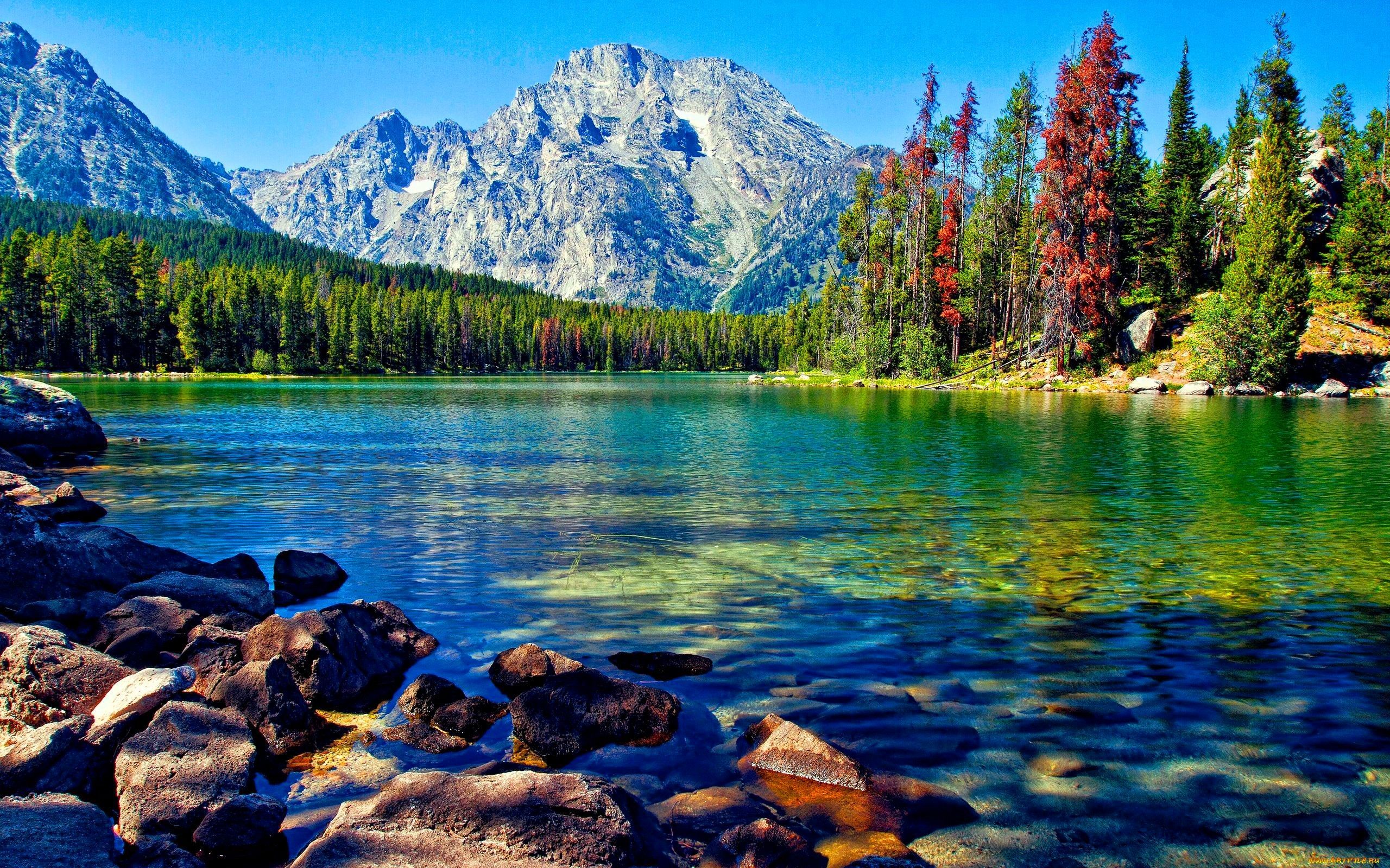 2560x1600 Minnesota Lakes Wallpaper