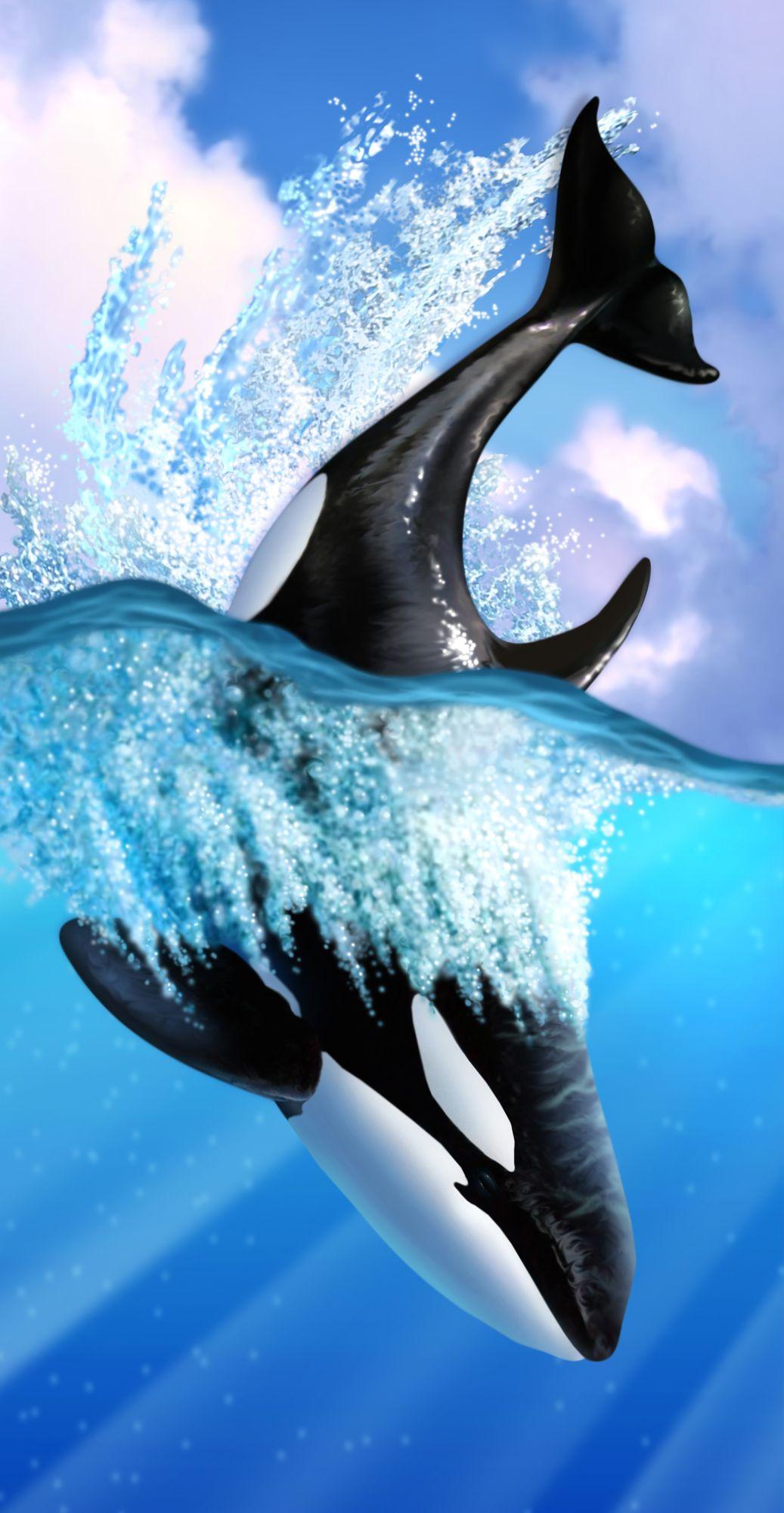 1037x2000 Orca