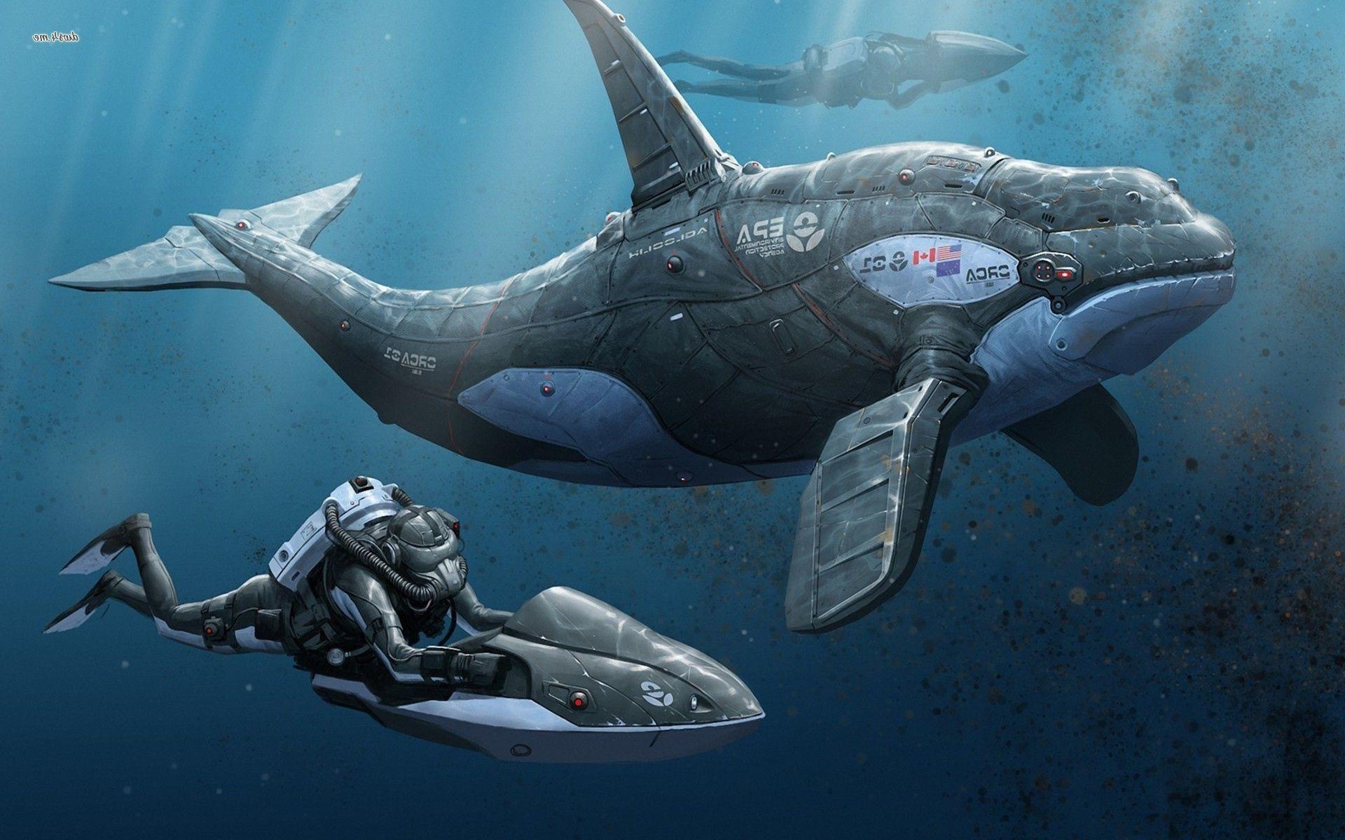 1920x1200 Killer Whale Wallpaper