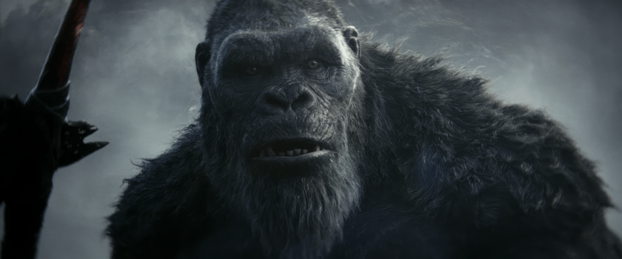 2592x1080 Godzilla vs Kong: The New Empire HD