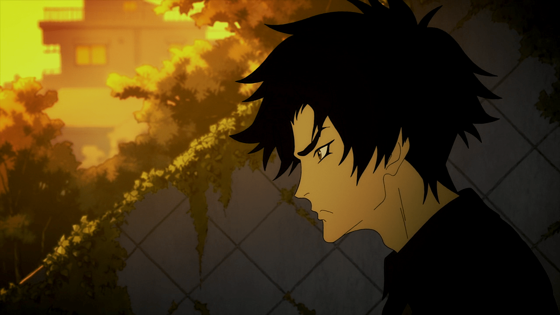 1920x1080 Akira Fudo Wallpaper
