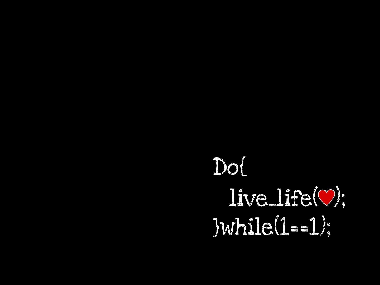 Programmer Desktop Wallpapers - Top Free Programmer Desktop Backgrounds ...