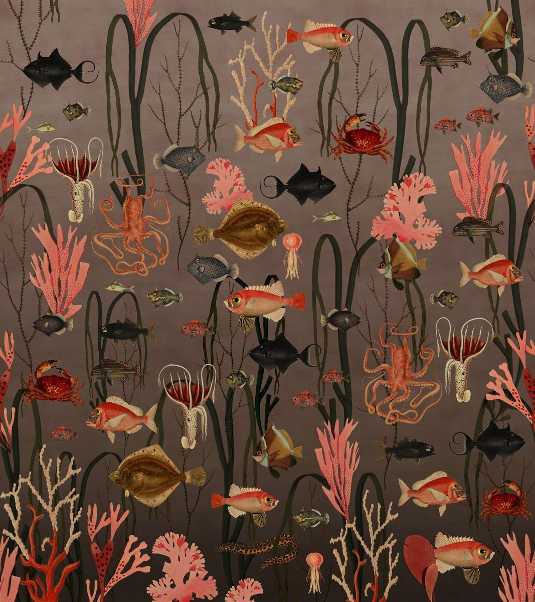 1067x1200 Coral