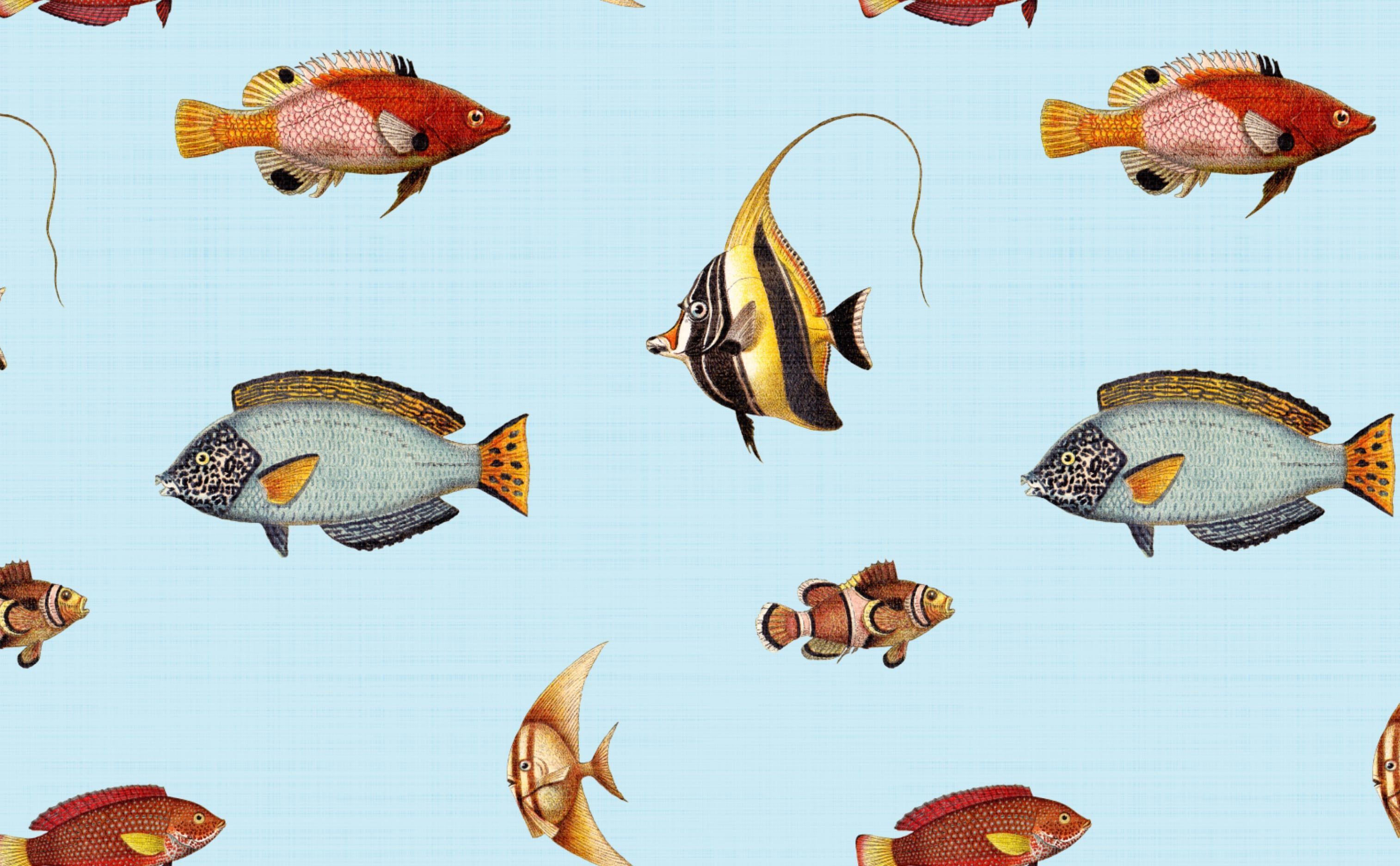 3028x1872 Ocean Reef Fish Wallpaper for Walls