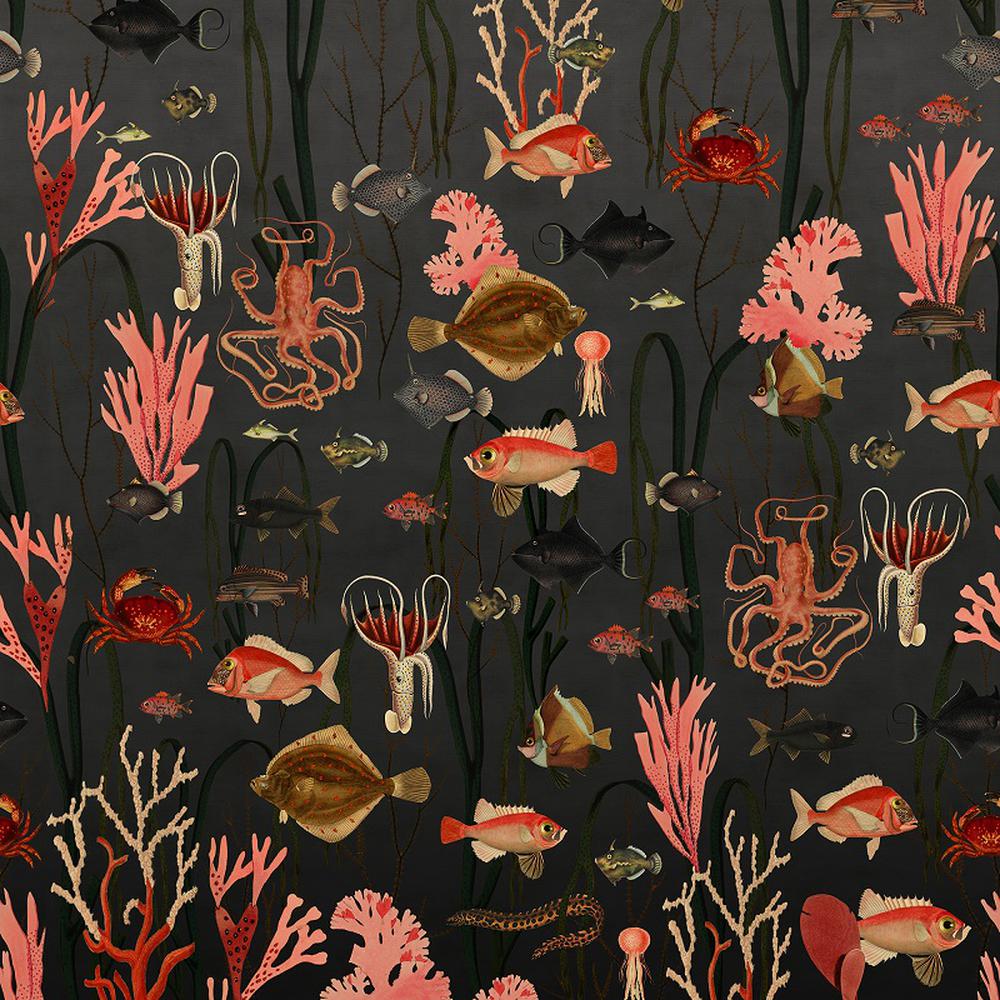 1000x1000 Aquatic Life. Wallpaper. Rebel Walls