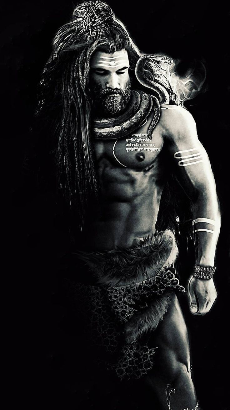 736x1308 iPhone Wallpaper for iPhone iPhone