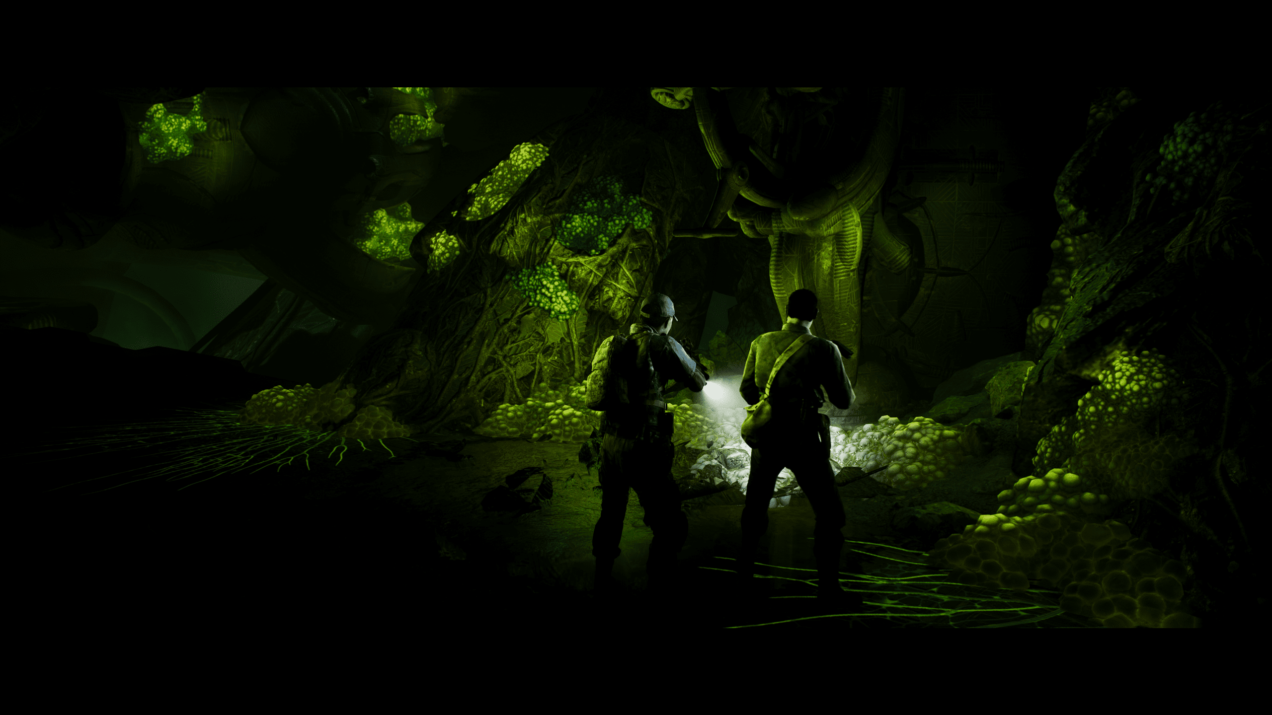 2560x1440 Ashes review