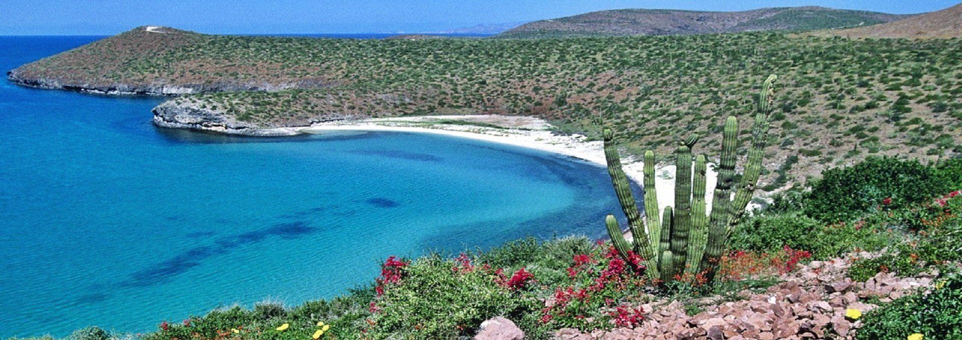 1920x679 Your Self Guided Tour In Baja California