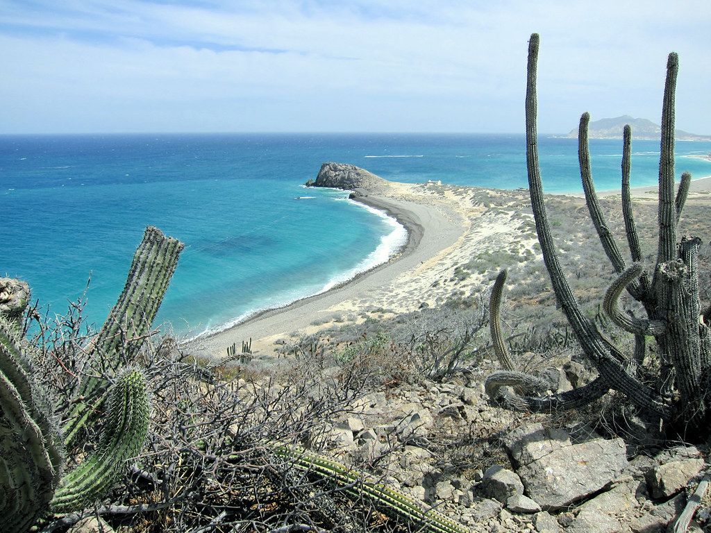 1024x768 Cabo Pulmo Point, Baja California