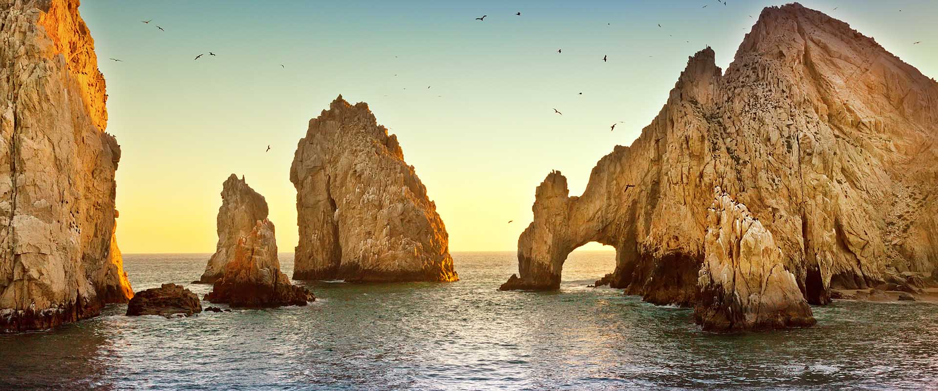 1920x800 Small Ship Cruises in Baja California