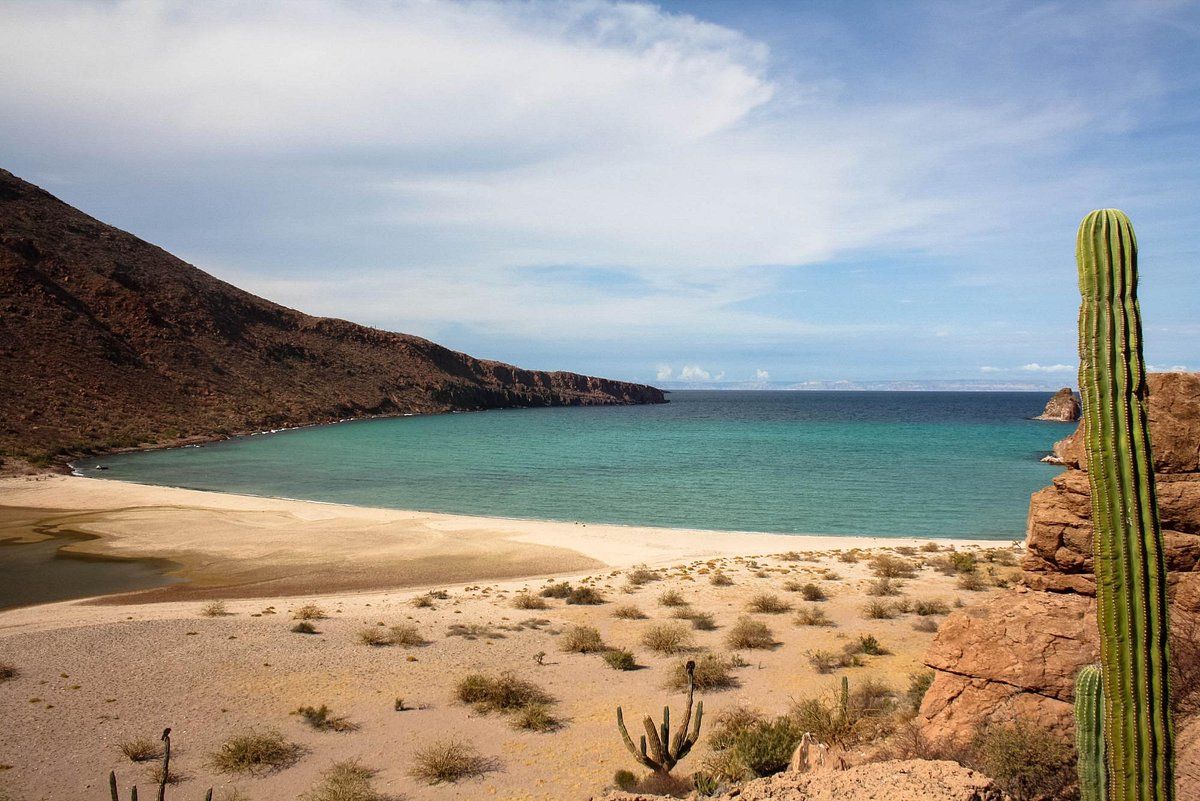 1200x801 The Best Baja California Camping 2024