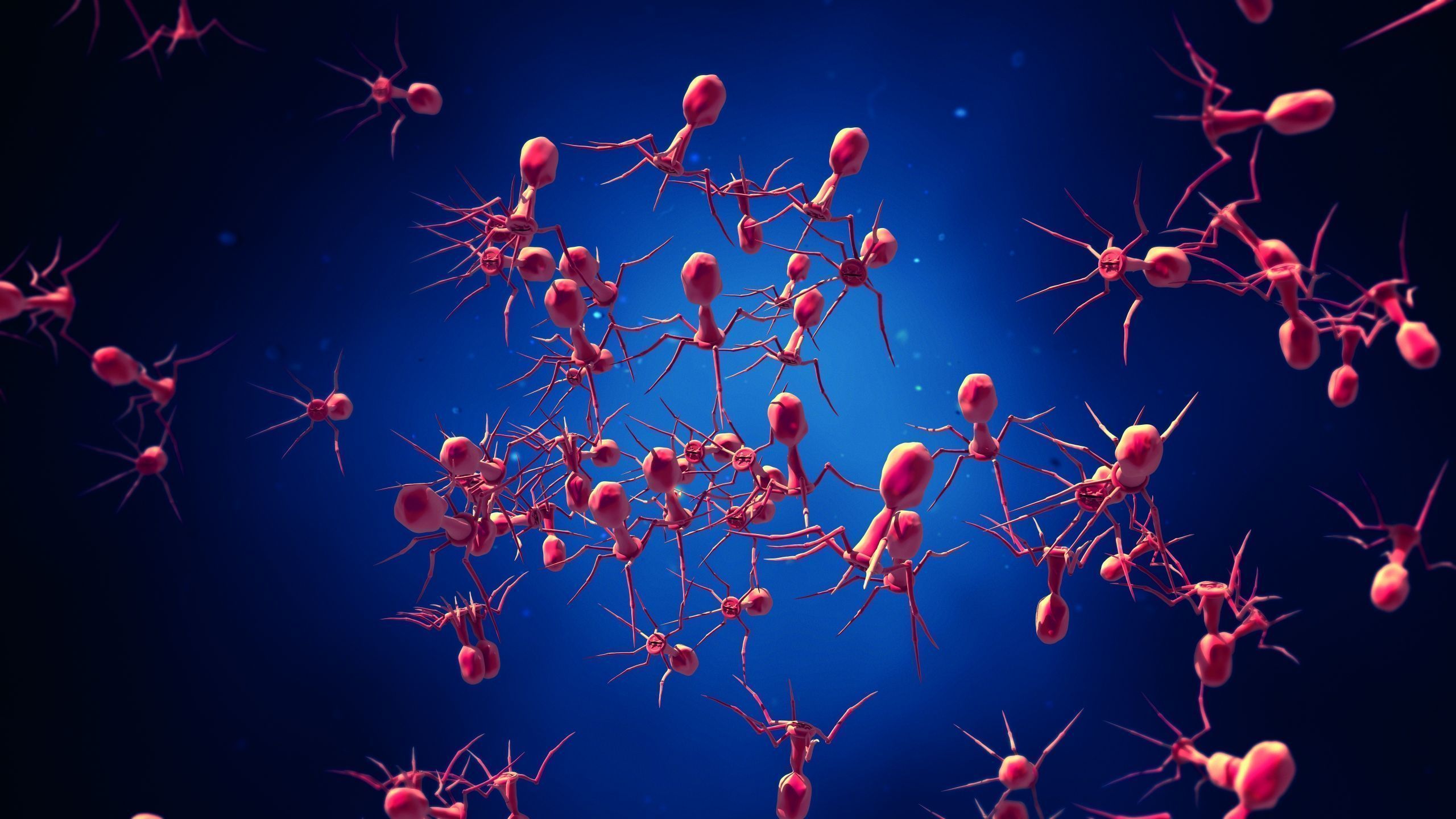 2560x1440 Bacteriophages players fighting antimicrobial resistance