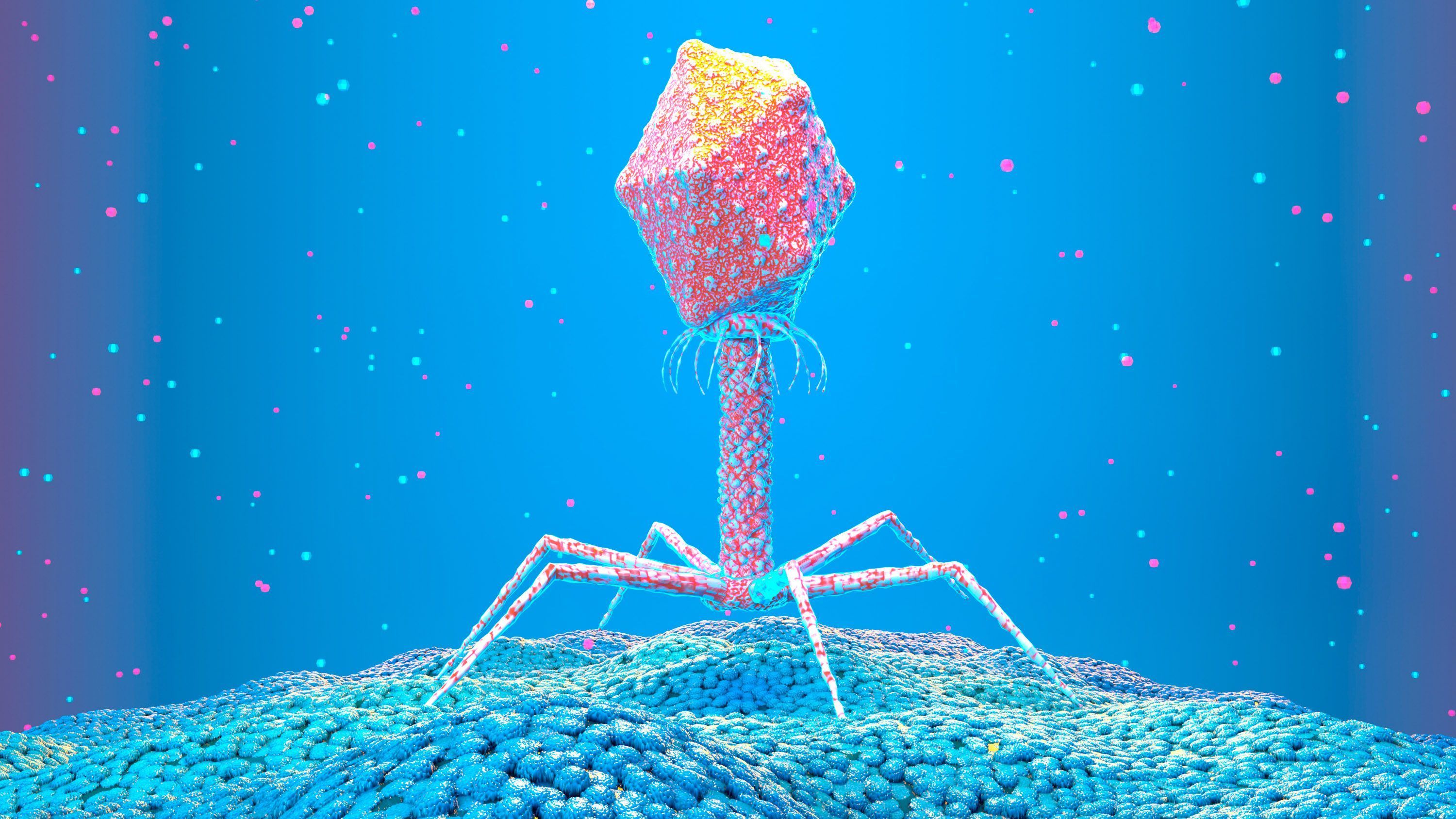 Phage Wallpapers - Top Free Phage Backgrounds - WallpaperAccess