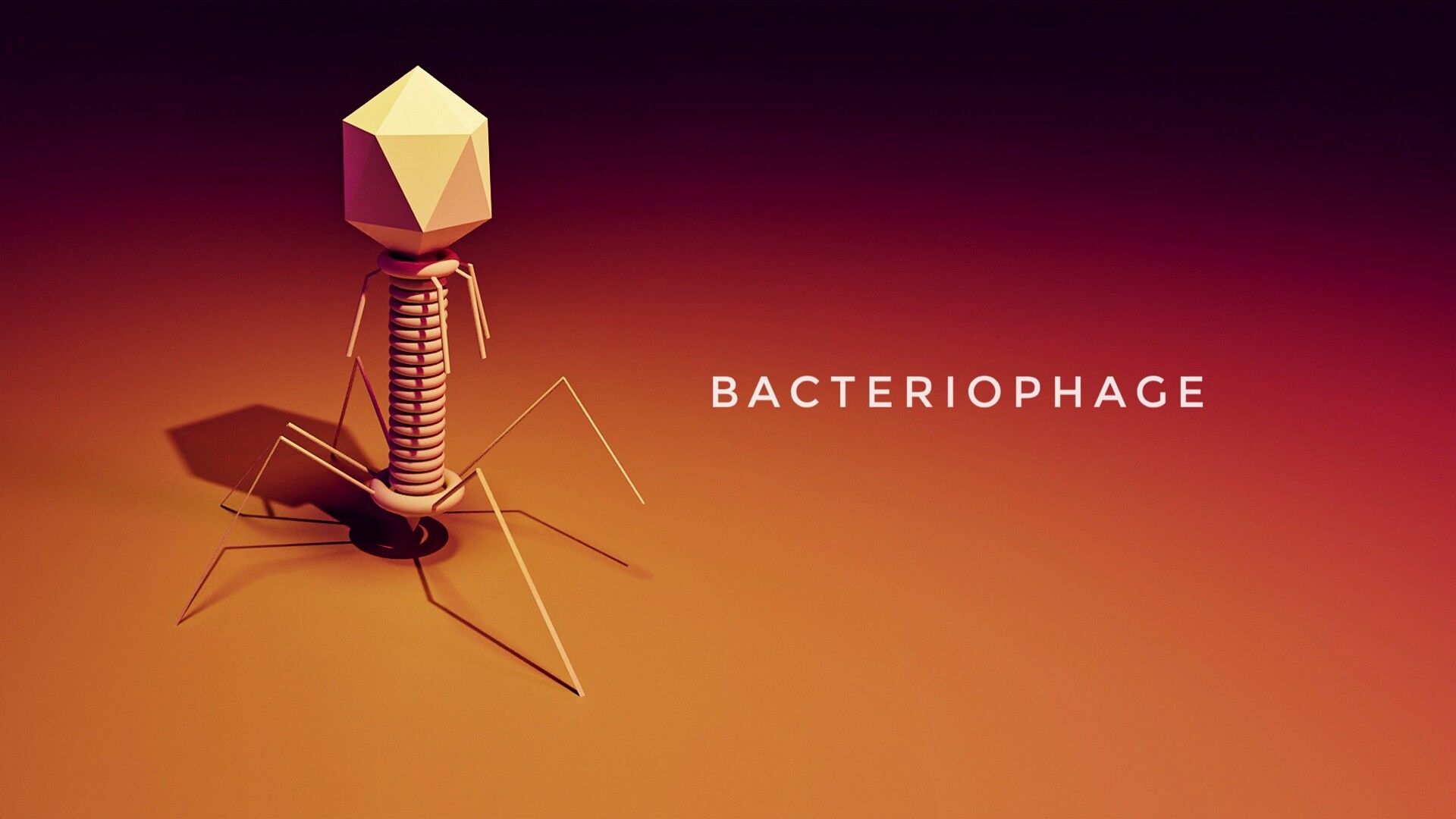 1920x1080 Bacteriophage T 4