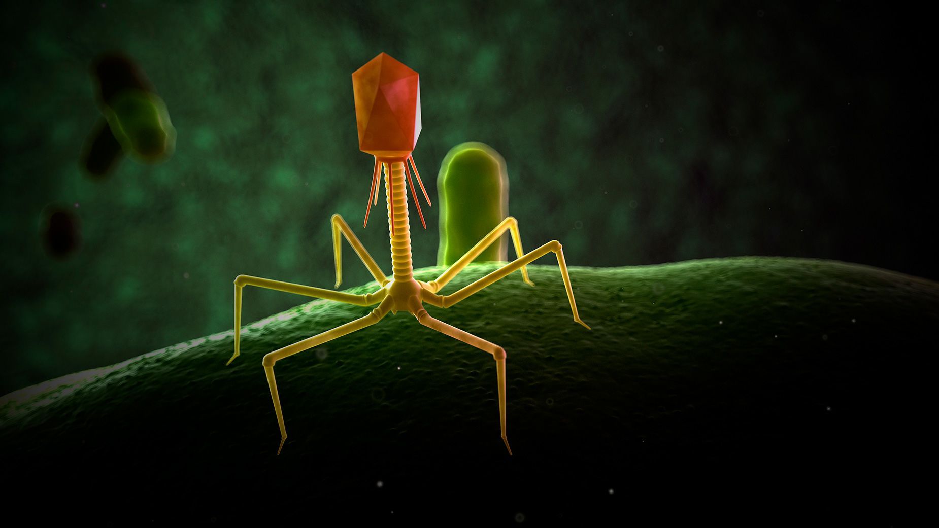 Phage Wallpapers - Top Free Phage Backgrounds - WallpaperAccess