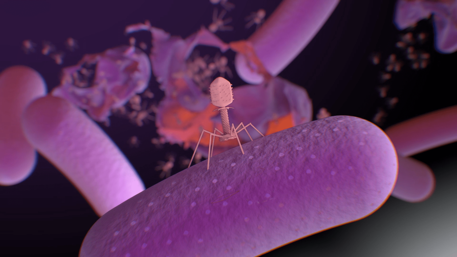 1920x1080 Helpful phage links