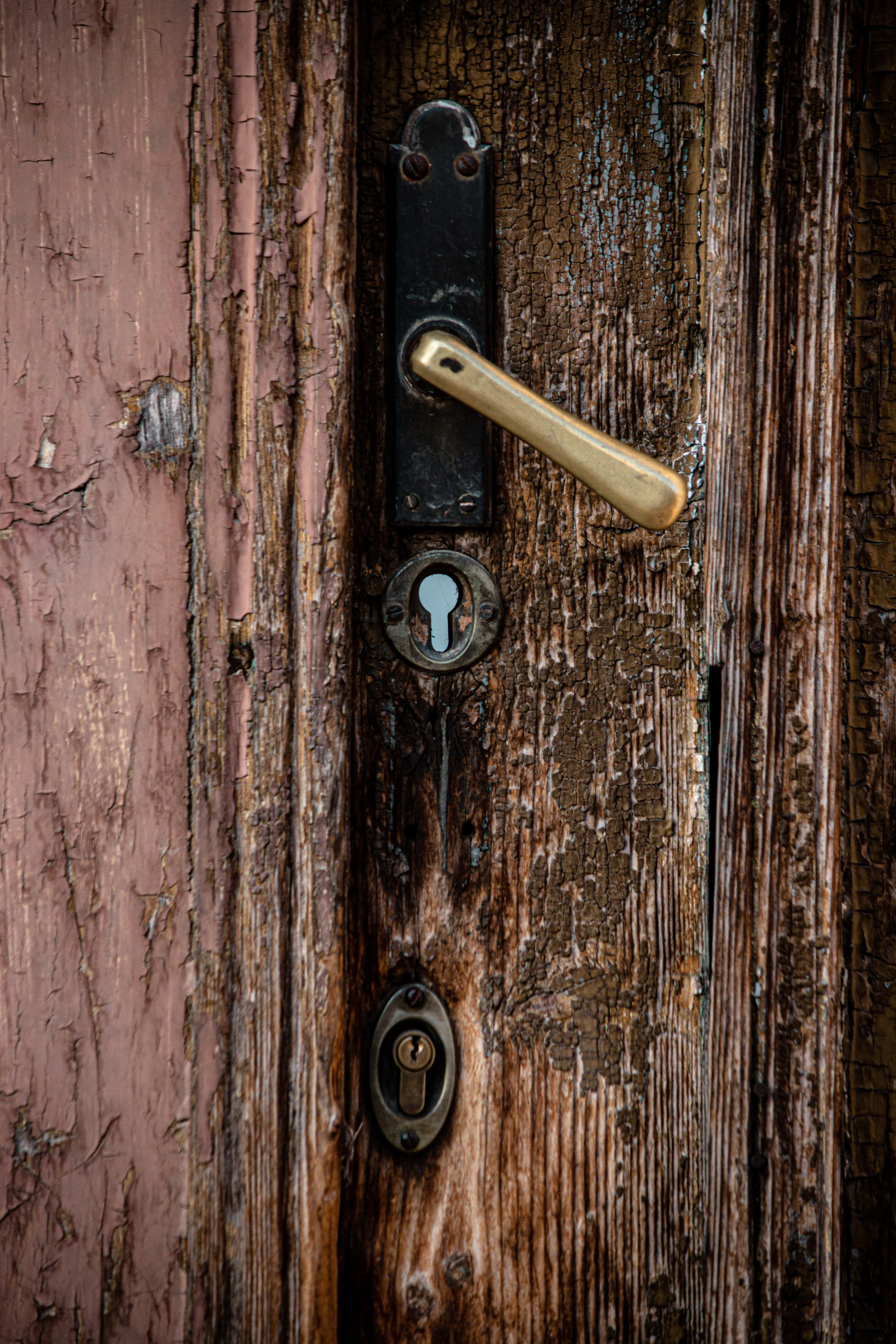 3928x5892 Free picture: front door, brass, handle