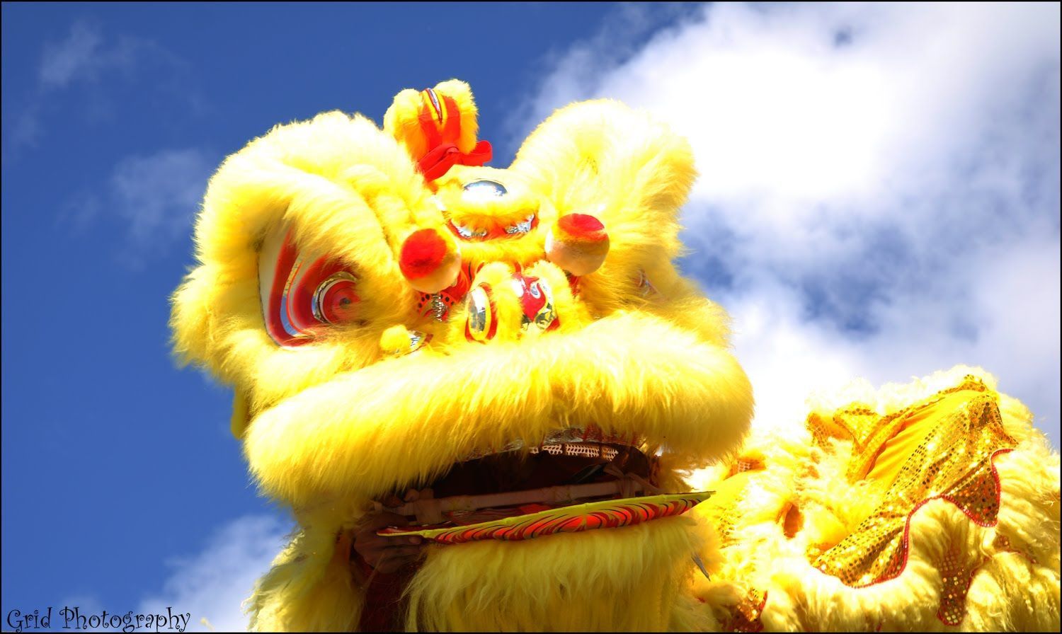 1500x896 Charmian Chen: Best Barongsai Photo