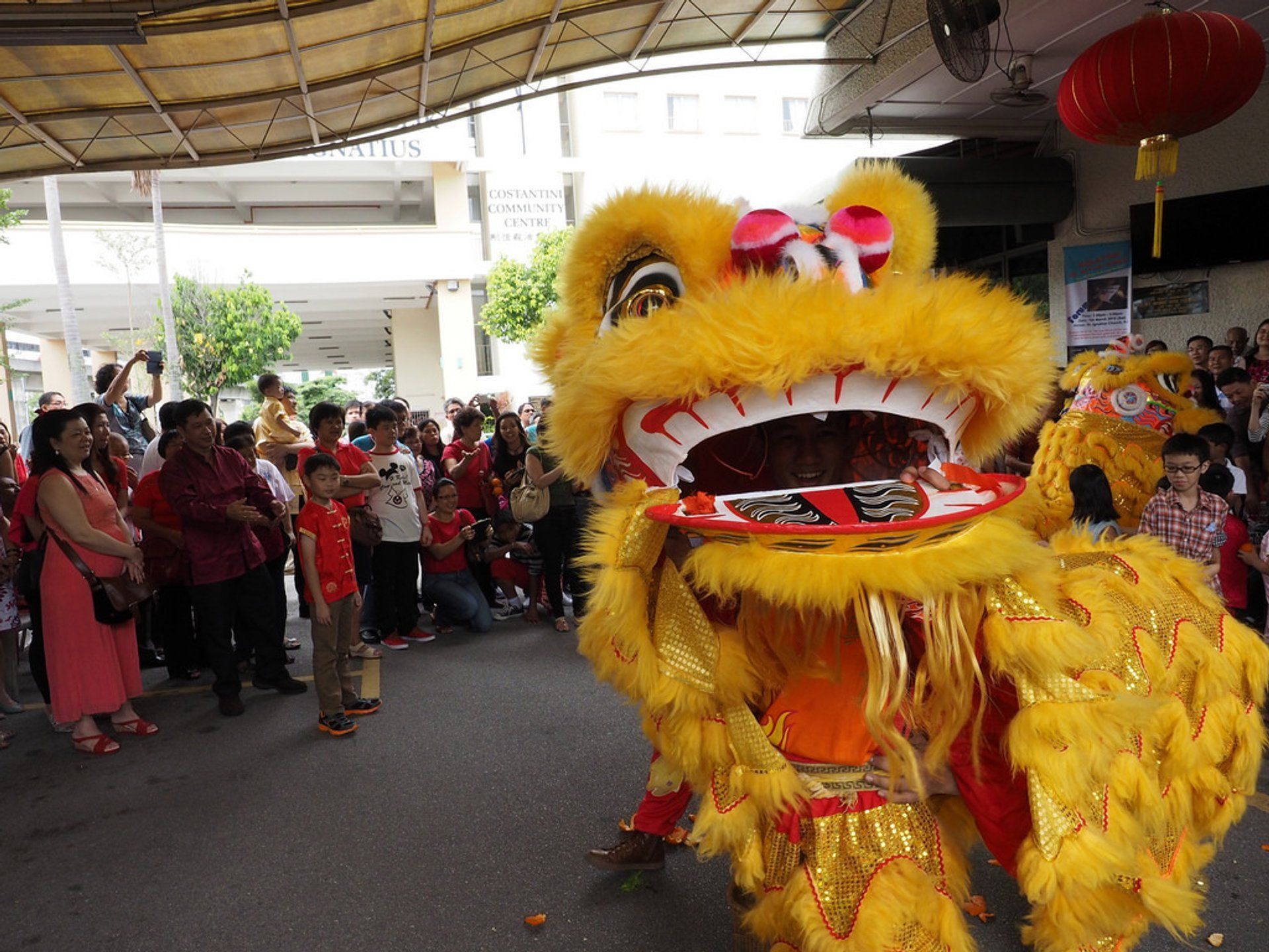1920x1440 Chinese New Year 2024 in Malaysia