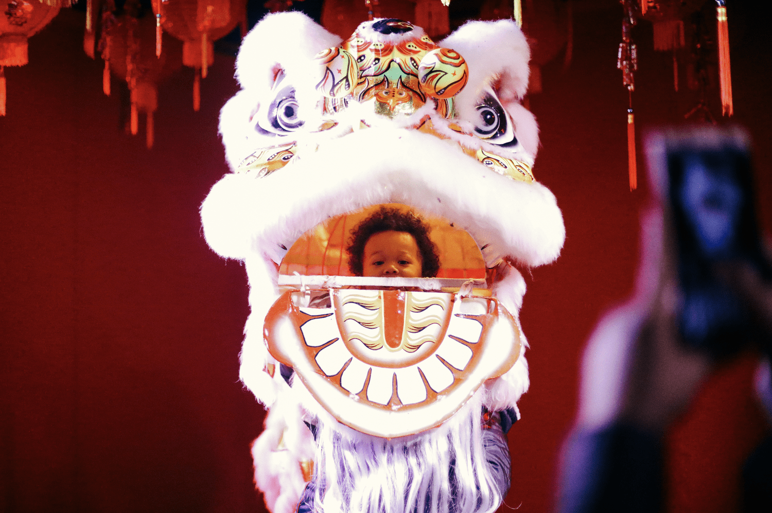 1500x997 Panda Express New Year