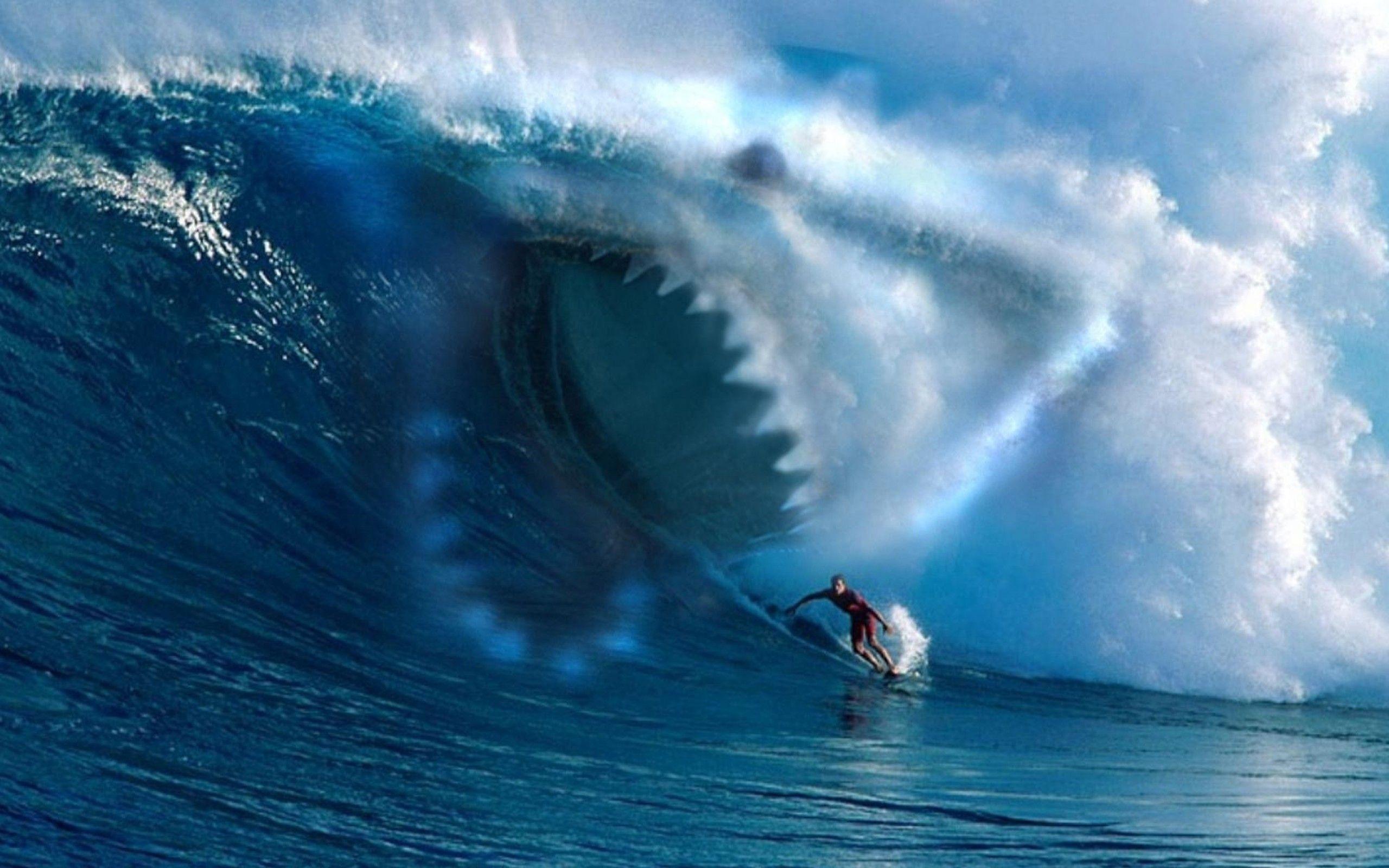 2560x1600 Sharks Wallpaper 8 X 1600