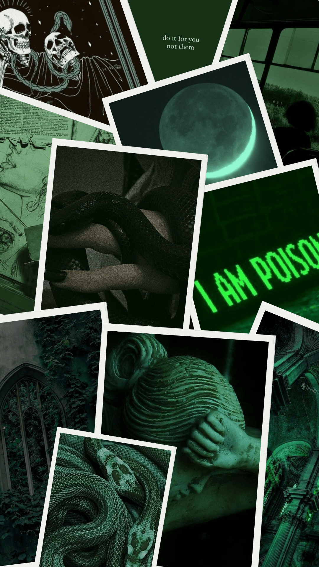 1080x1920 Severus Snape is Damaged Love
