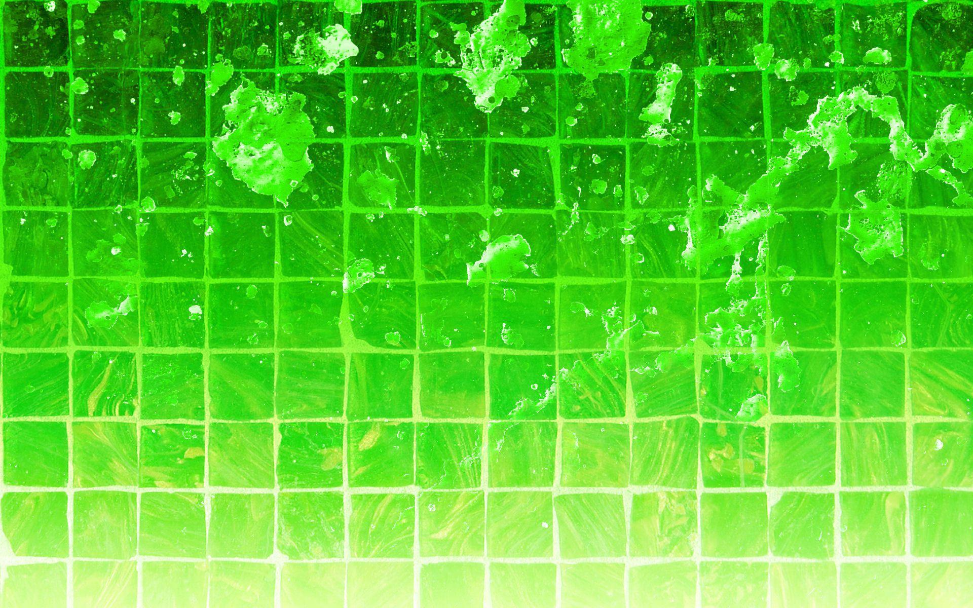 1920x1200 Free Download 44 HD Green Wallpaper for Windows and Mac Systems