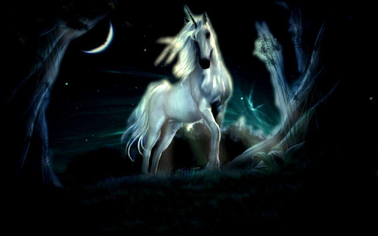 1296x810 Fantasy Unicorn Wallpaper HD