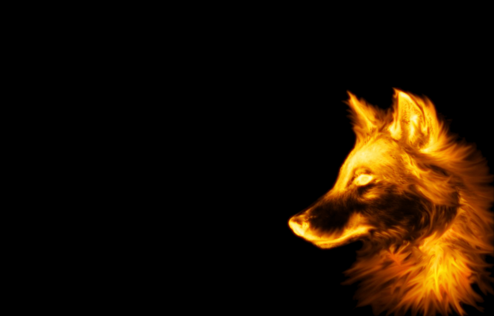 1600x1024 Dark Wolf Wallpaper Hình nền HD Hình nền Pinterest Wolf